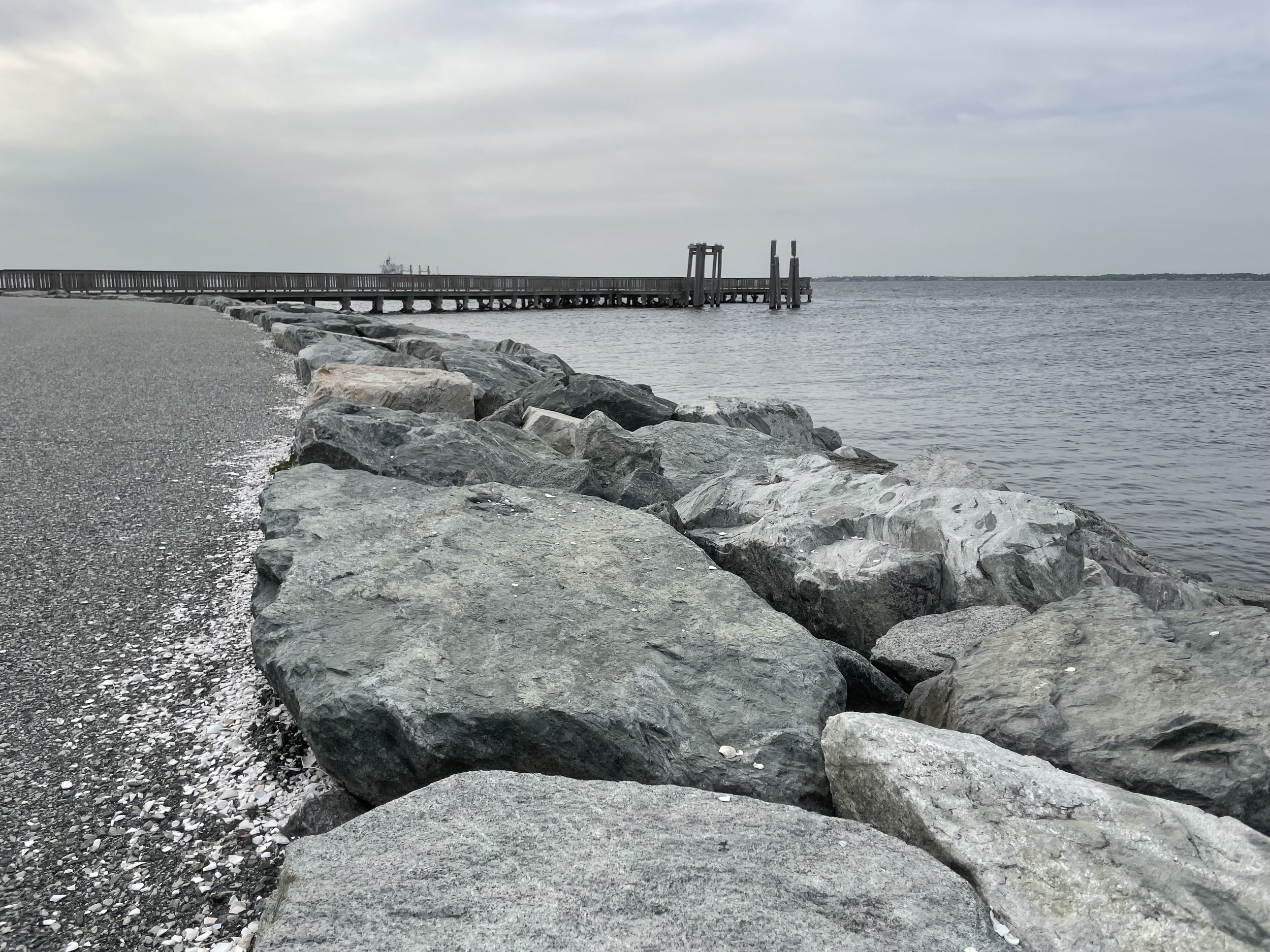 IMG_7454.jpeg