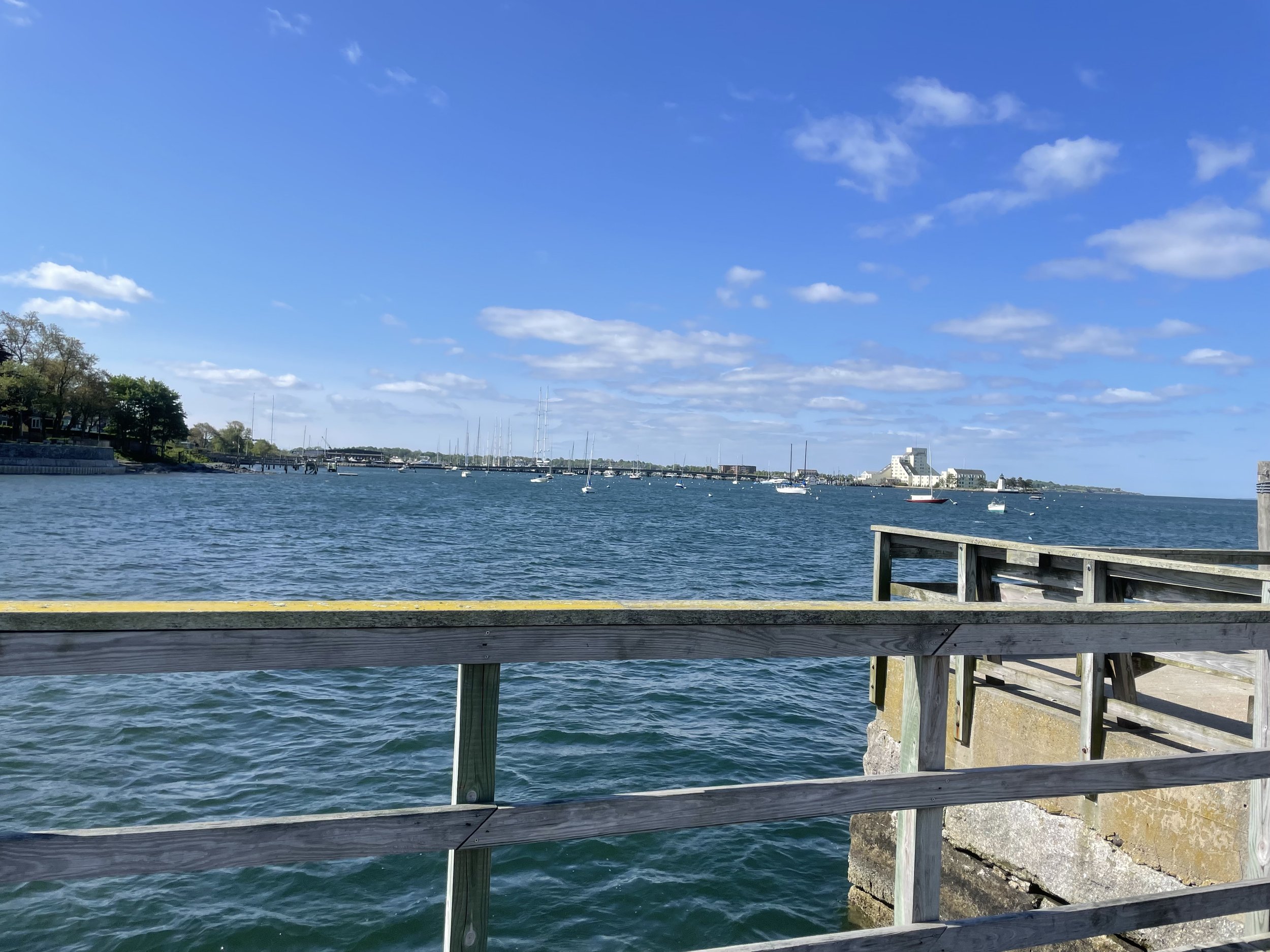 IMG_7681.jpeg