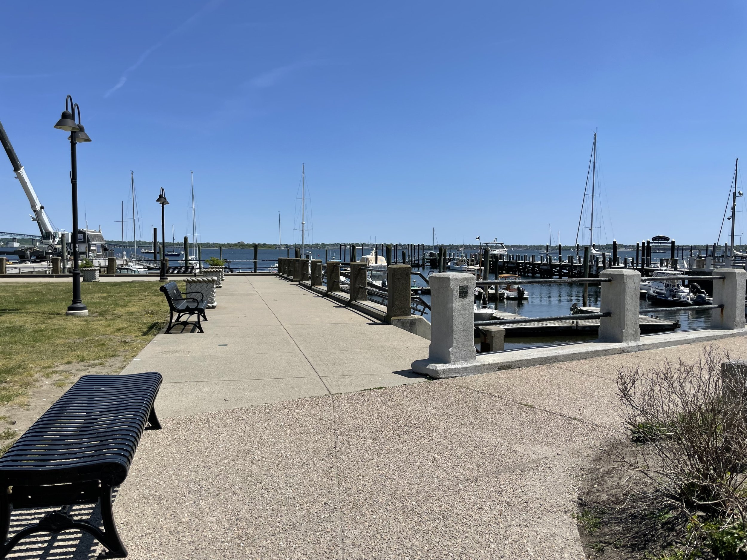 IMG_7851.jpeg
