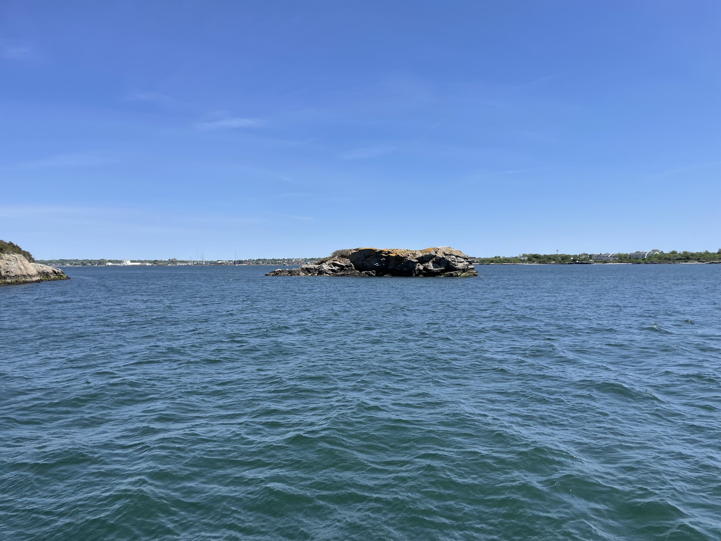 IMG_7913.jpeg