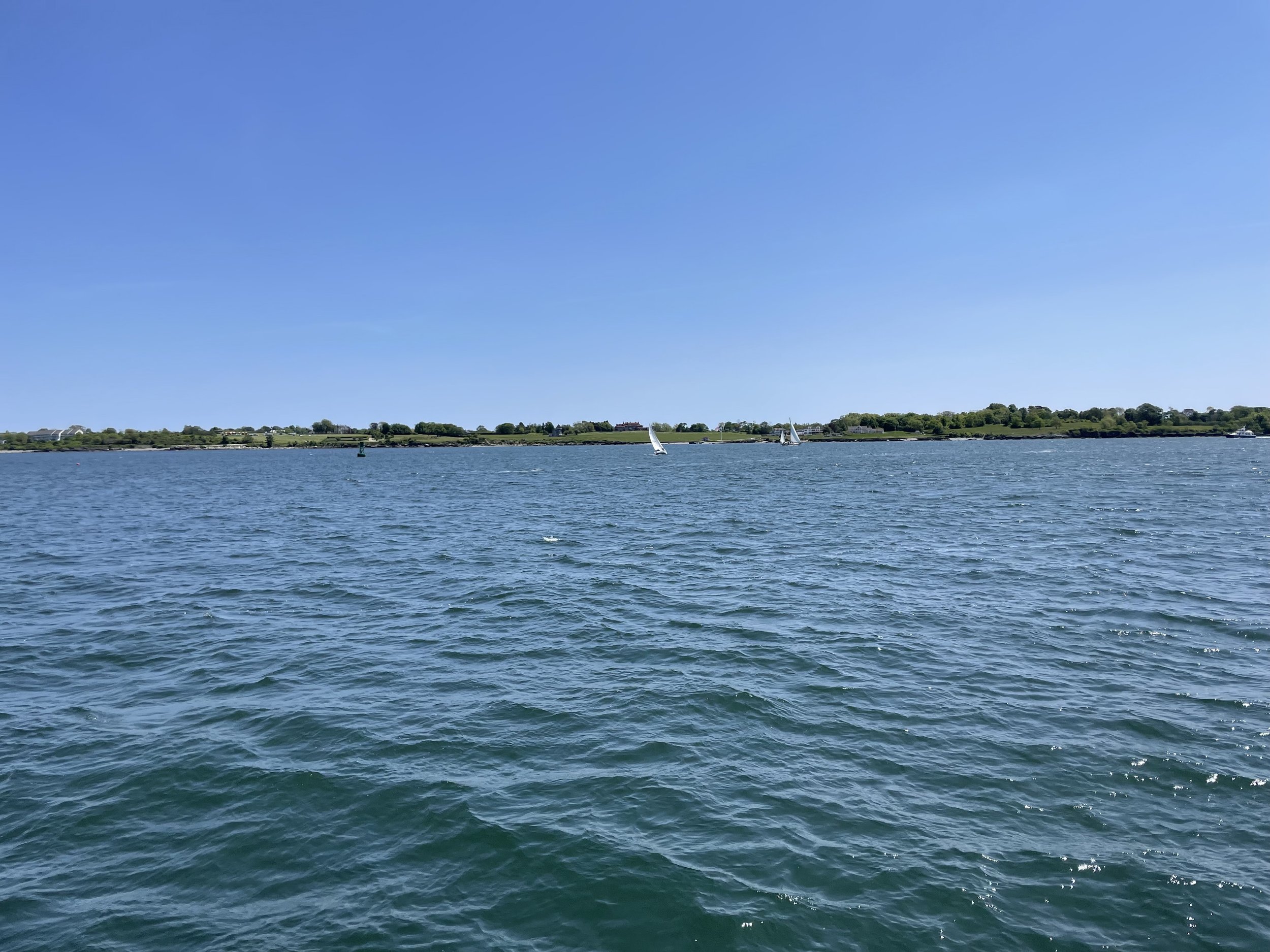 IMG_7914.jpeg