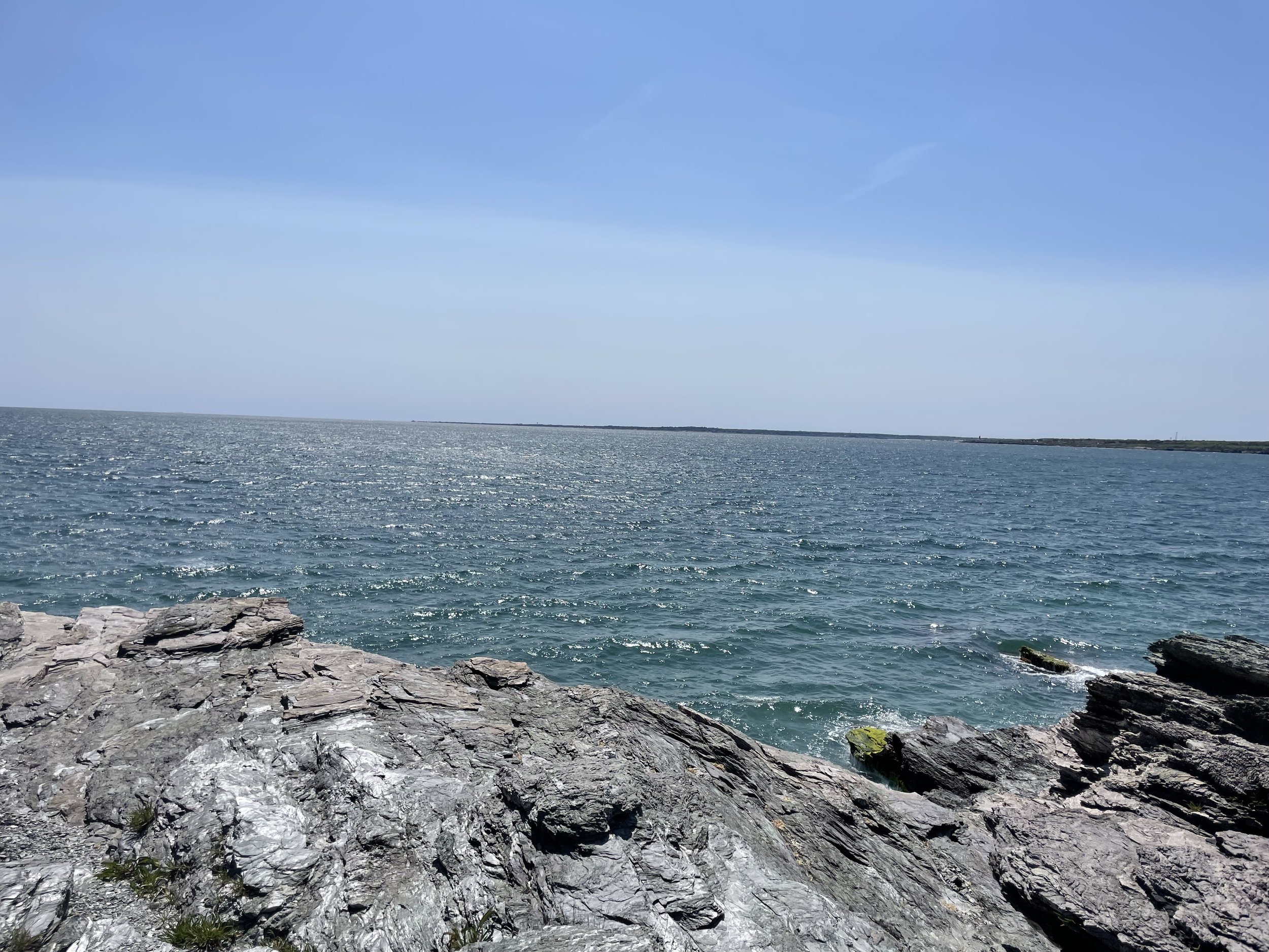 IMG_7991.jpeg