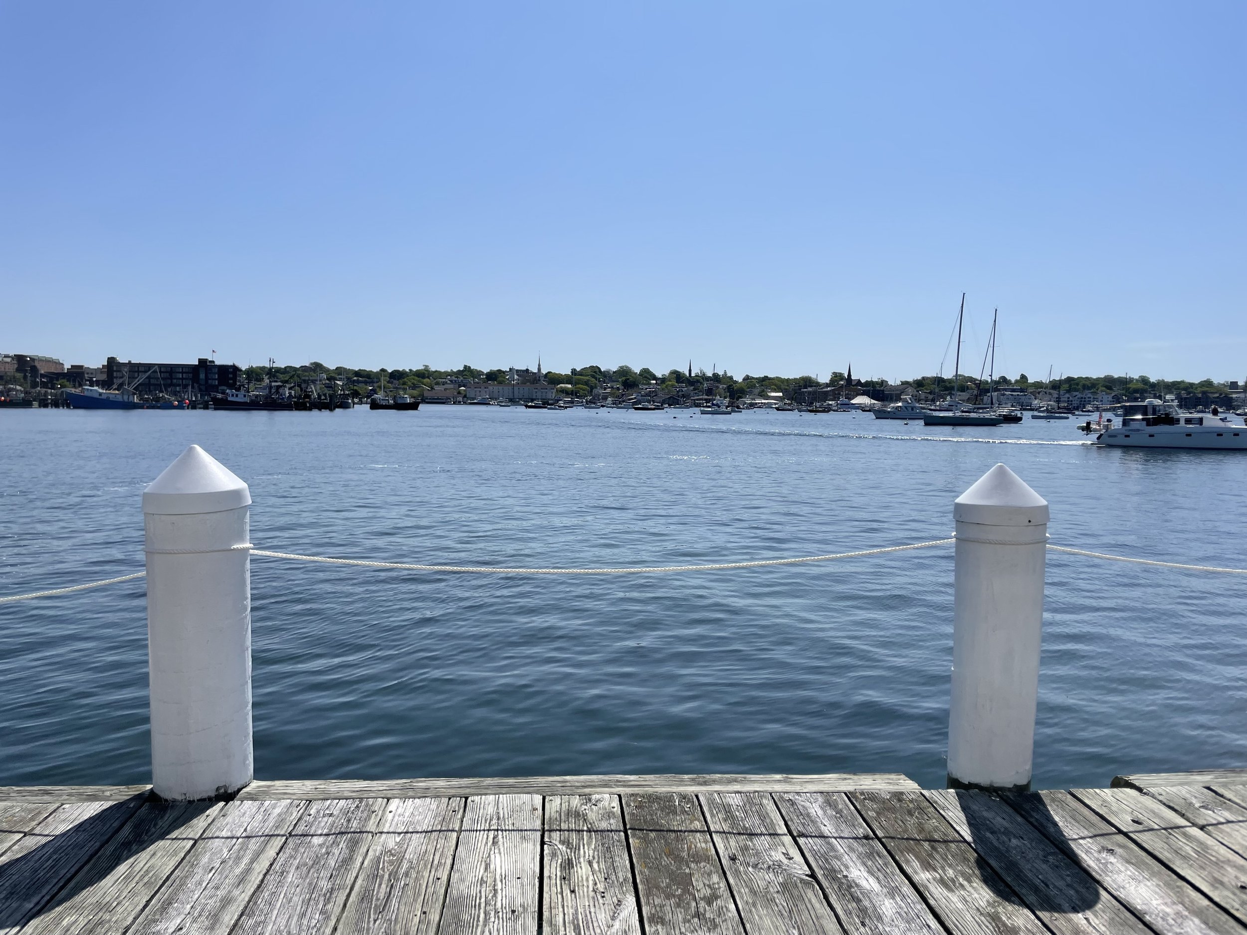 IMG_8174.jpeg