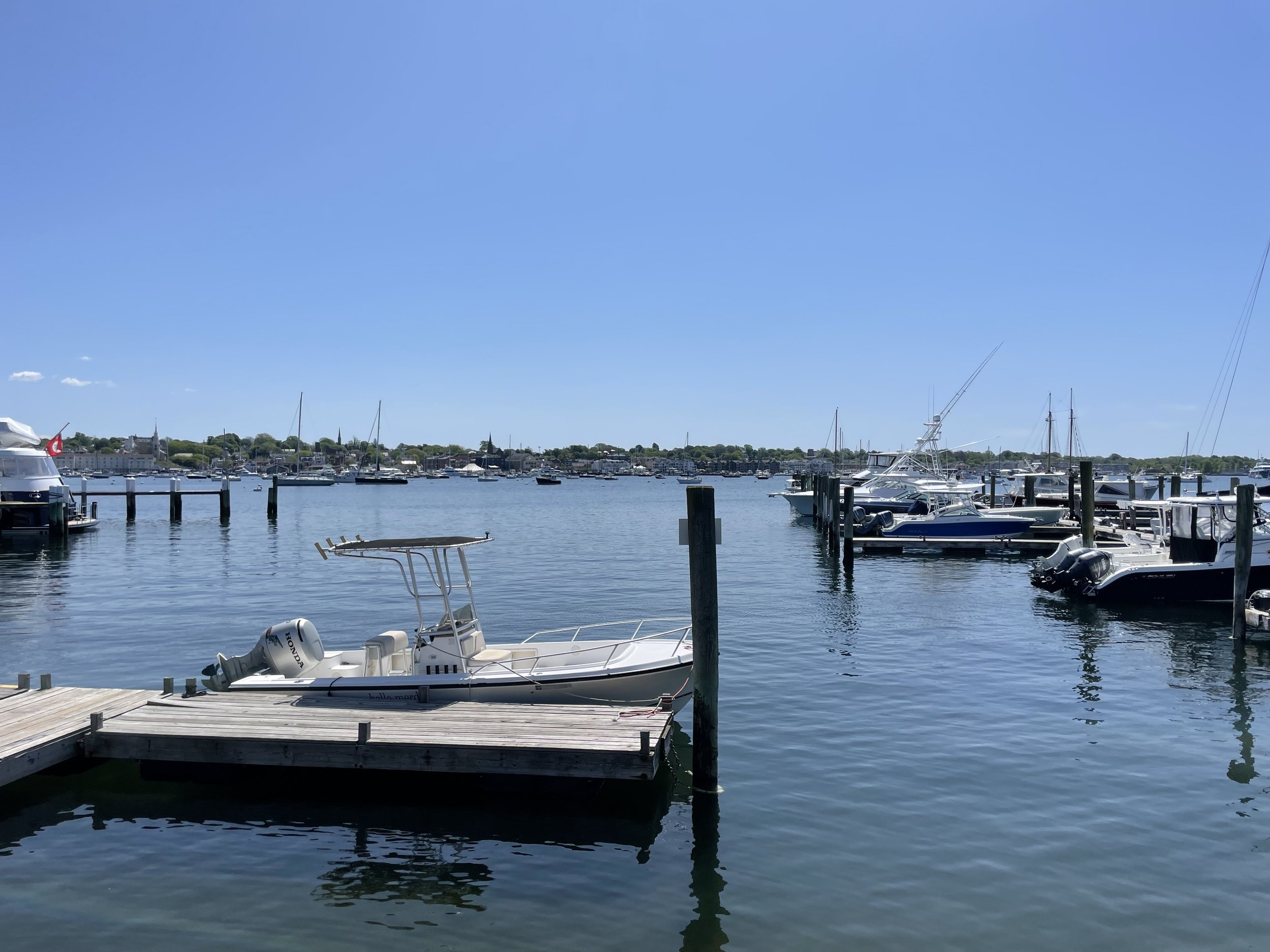 IMG_8209.jpeg