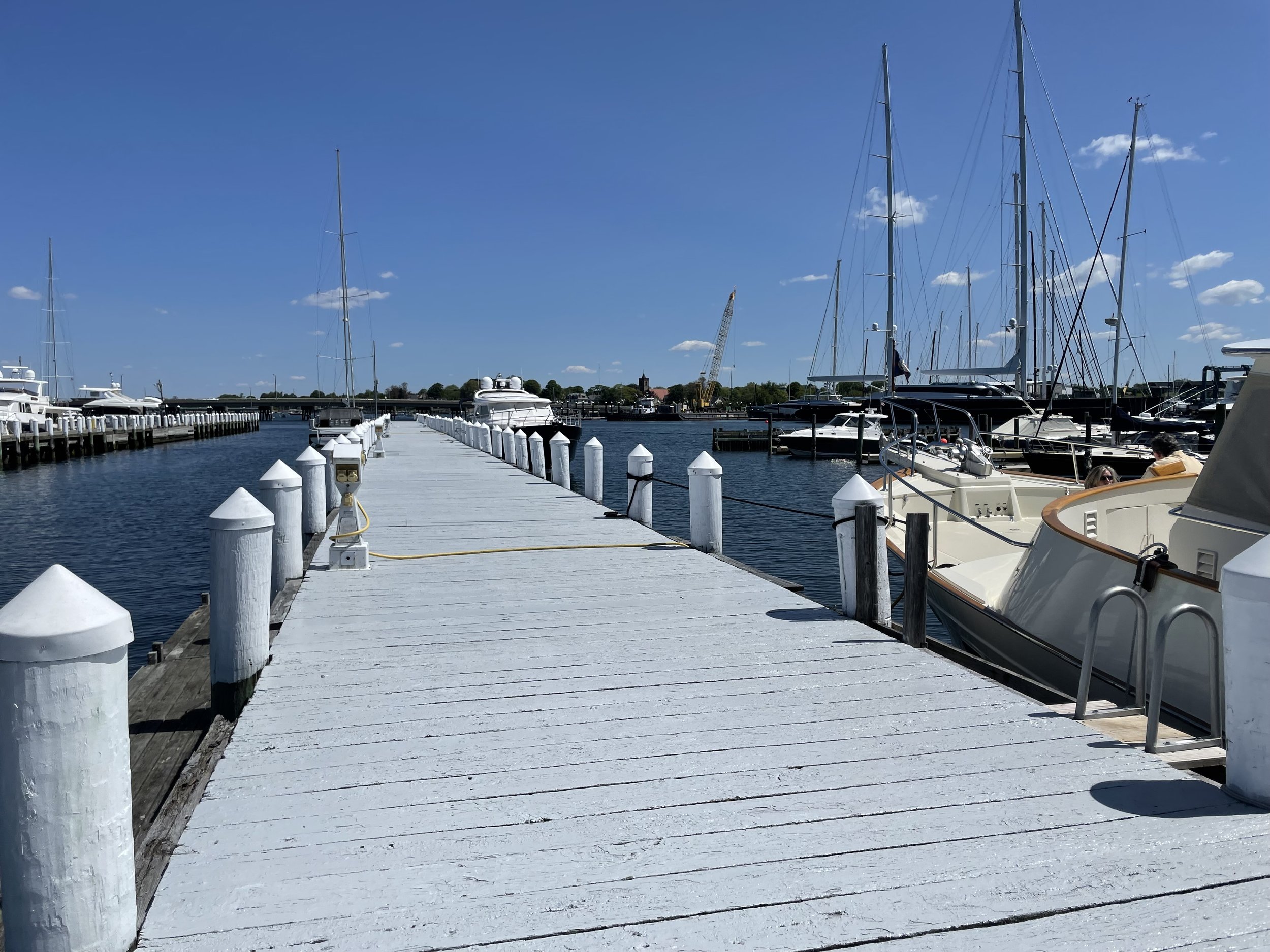 IMG_8219.jpeg