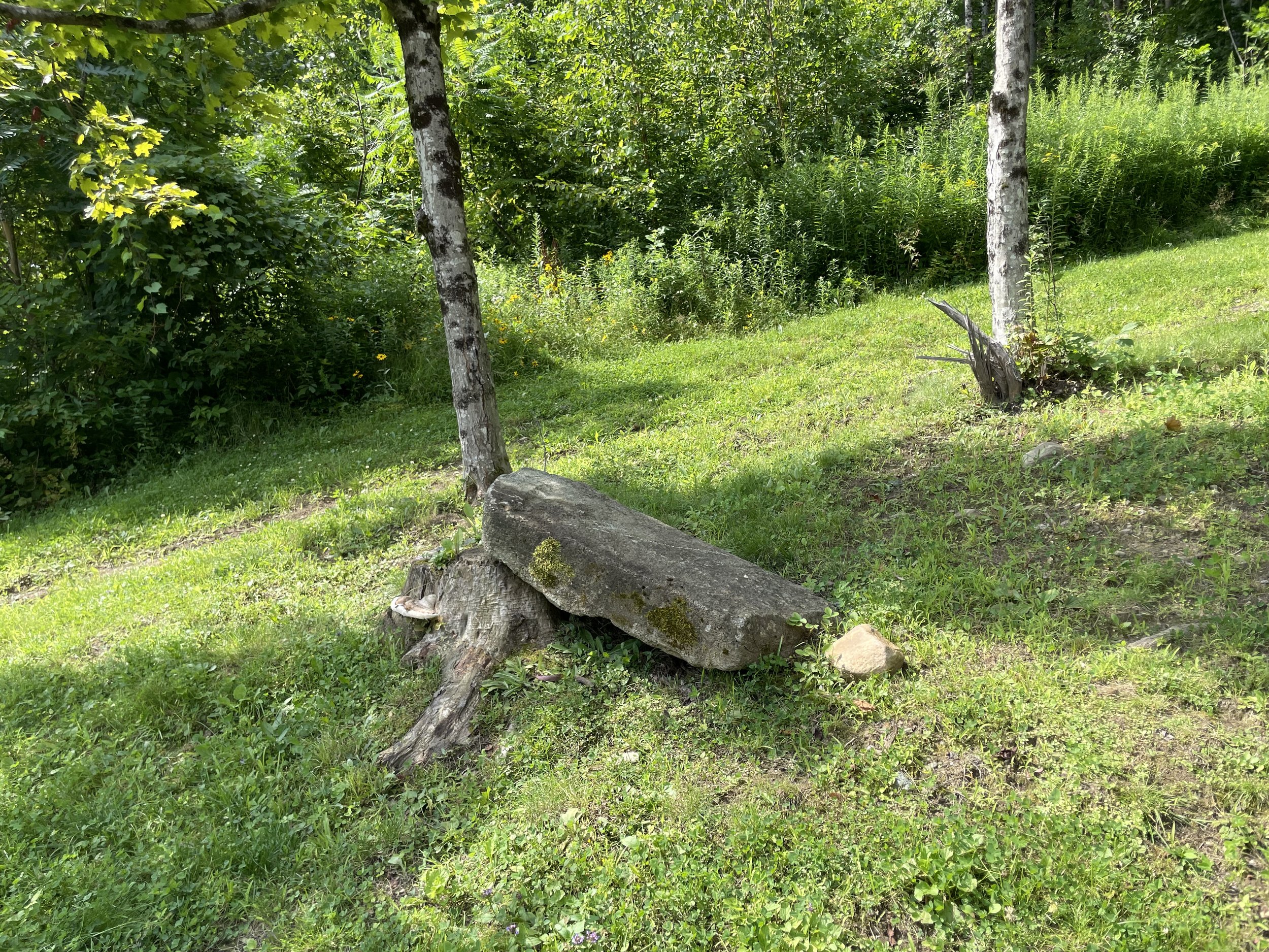 IMG_9540.jpeg