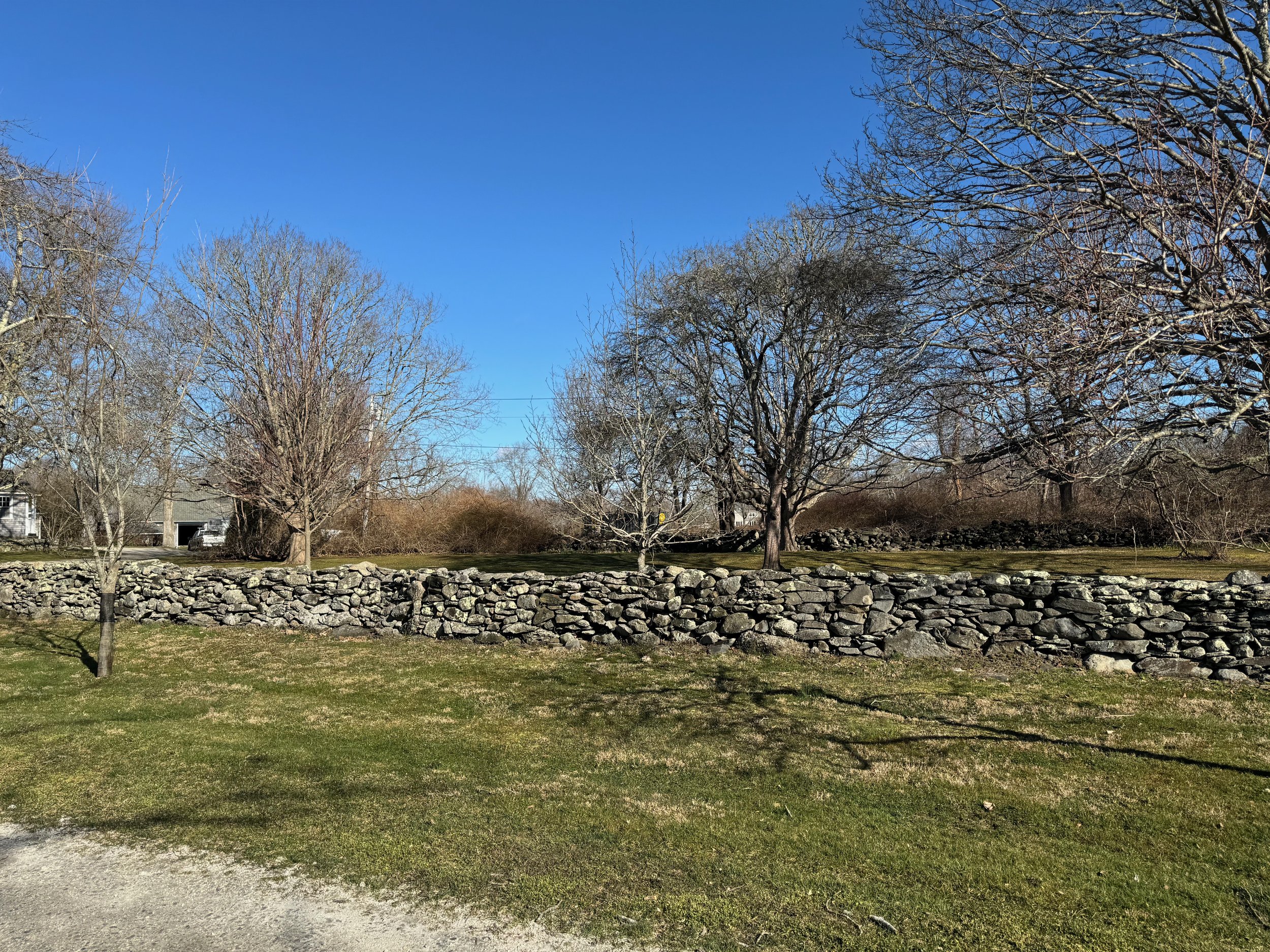 Pride and Pastures Update 3.24 - 6 of 48.jpeg