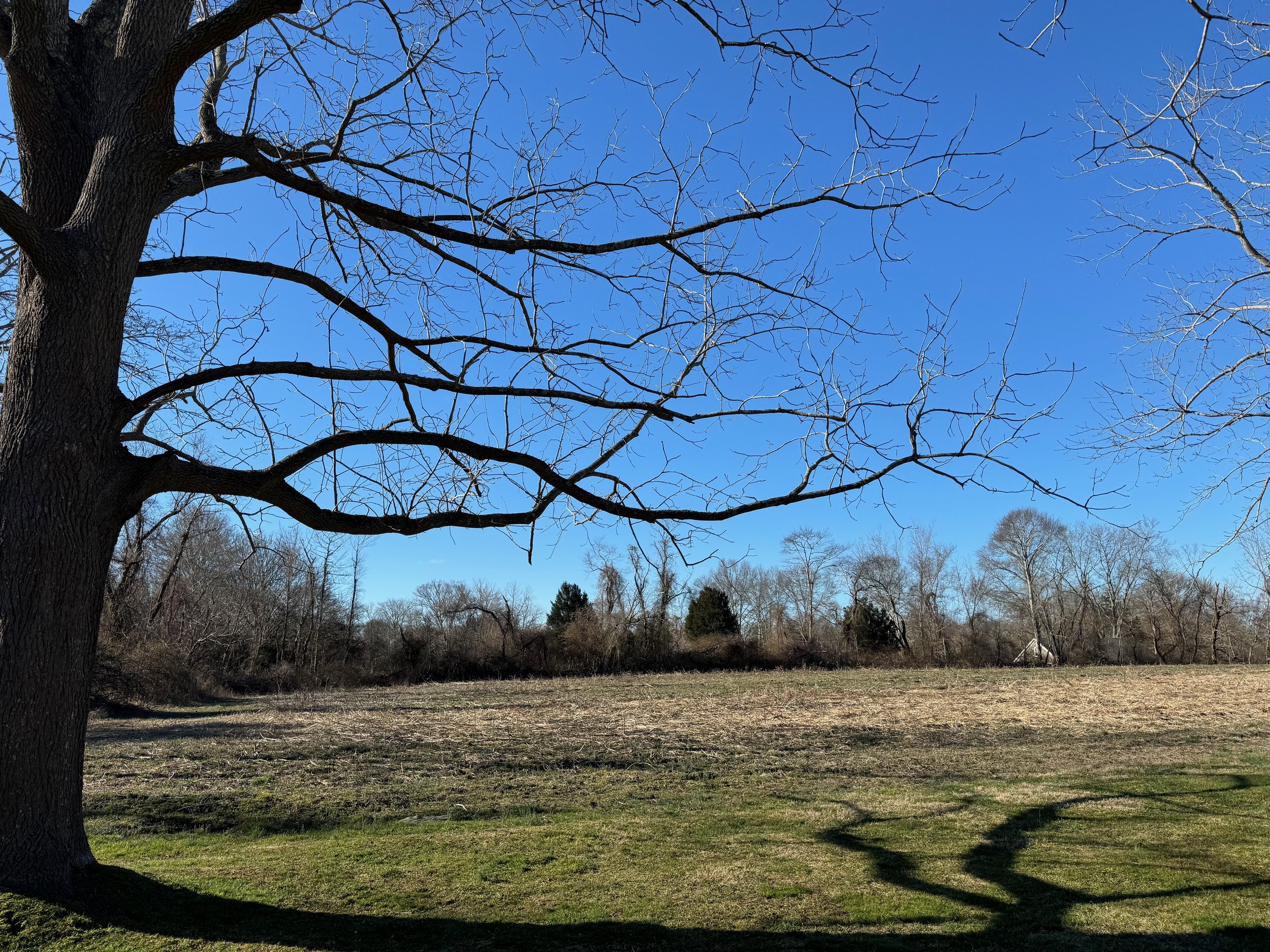 Pride and Pastures Update 3.24 - 8 of 48.jpeg