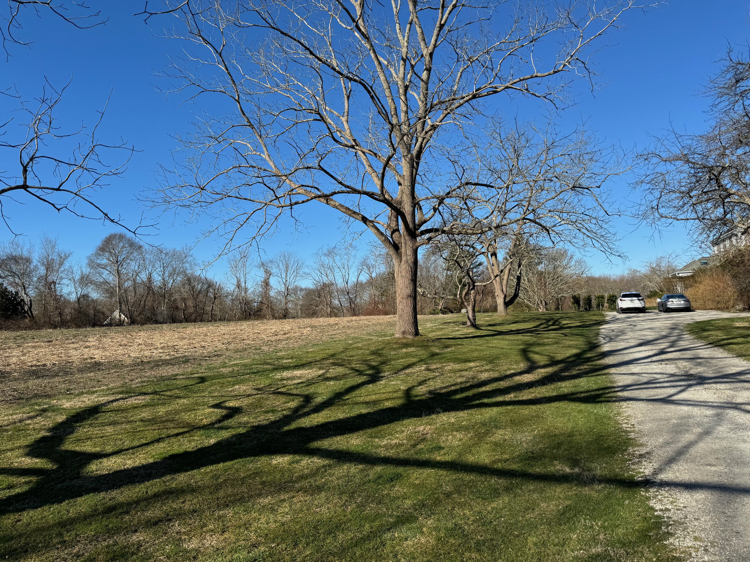 Pride and Pastures Update 3.24 - 7 of 48.jpeg