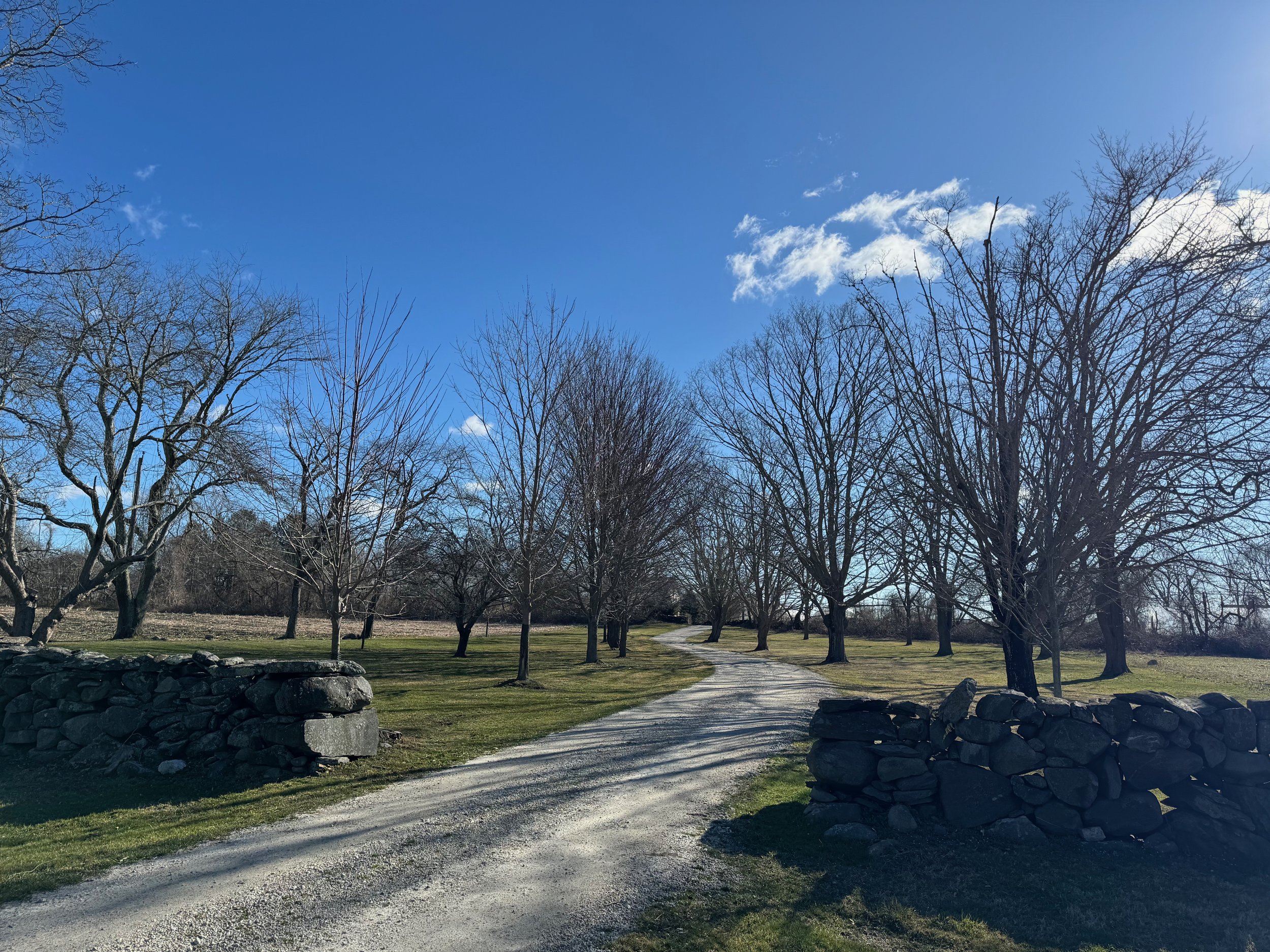 Pride and Pastures Update 3.24 - 9 of 48.jpeg