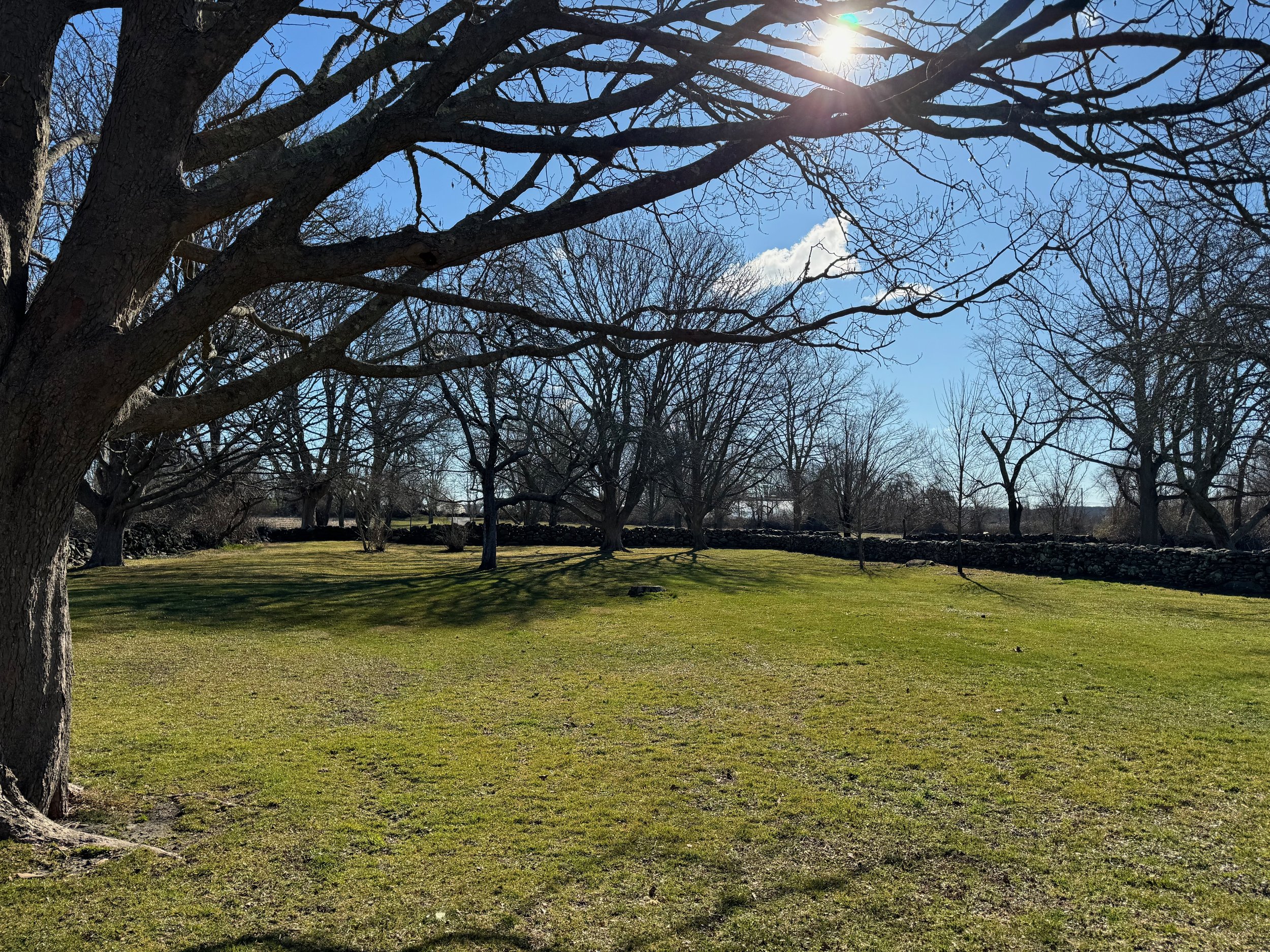 Pride and Pastures Update 3.24 - 12 of 48.jpeg