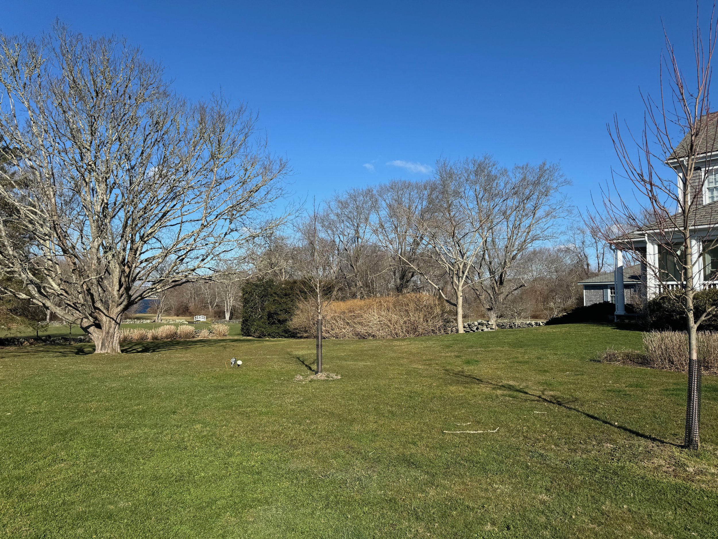Pride and Pastures Update 3.24 - 45 of 48.jpeg
