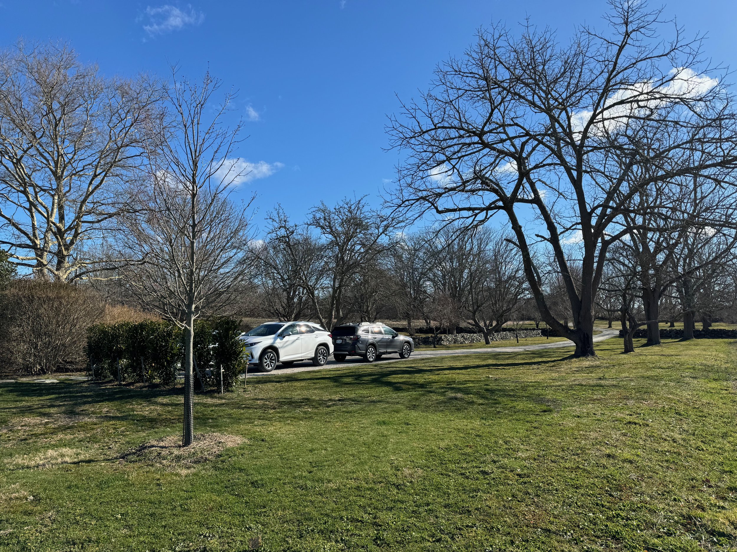 Pride and Pastures Update 3.24 - 47 of 48.jpeg