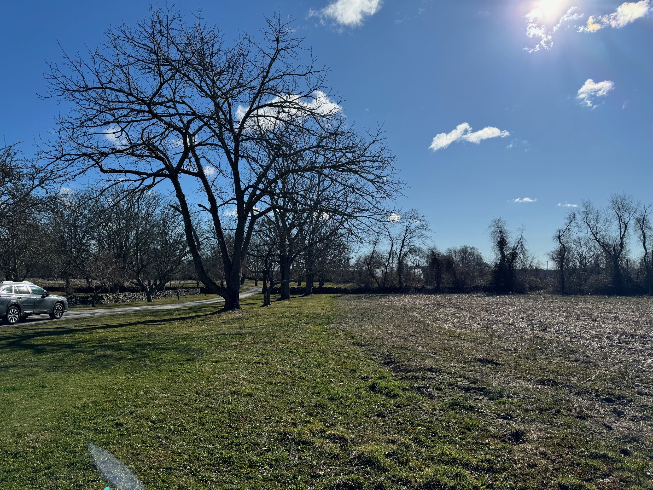 Pride and Pastures Update 3.24 - 48 of 48.jpeg