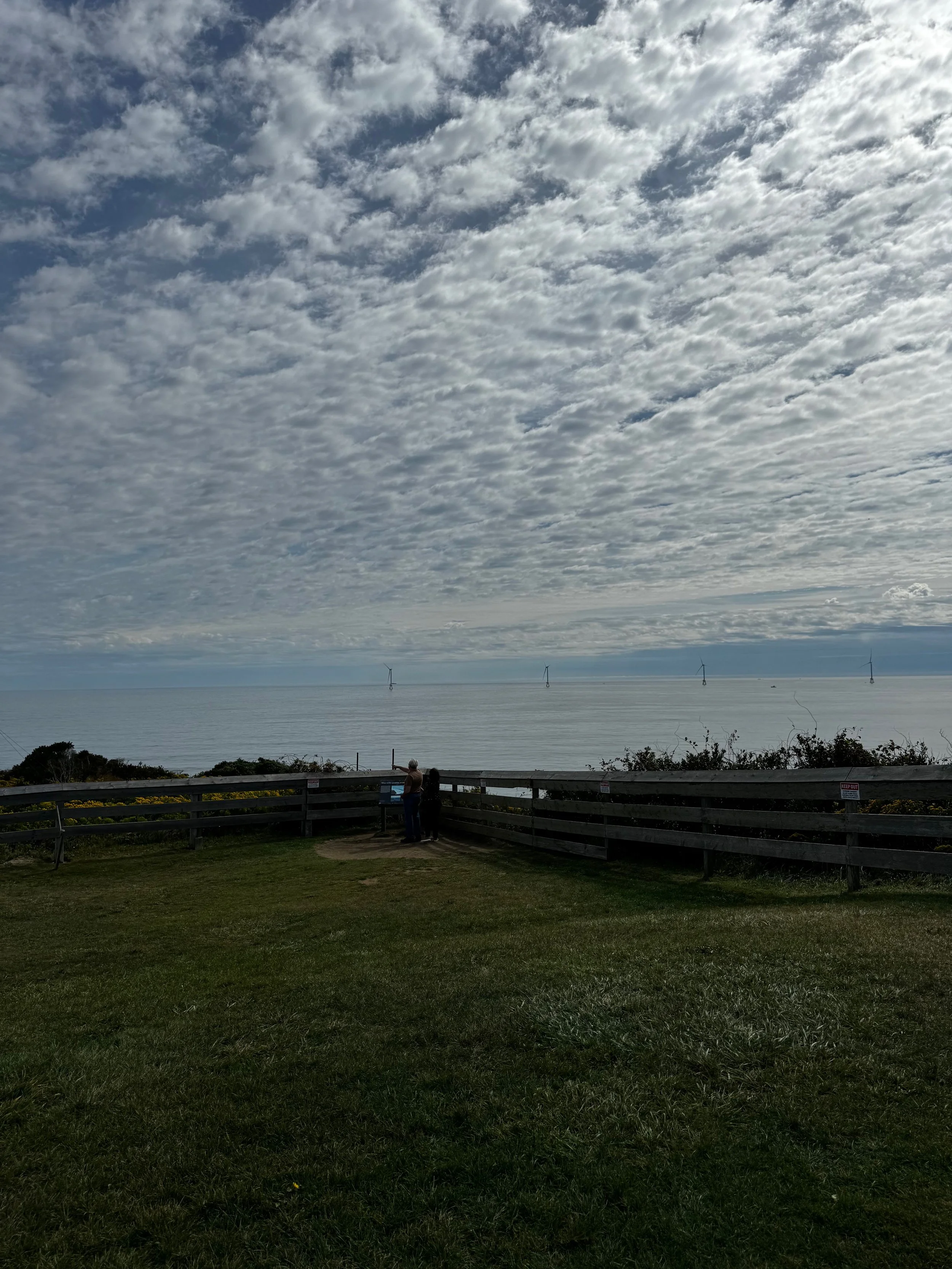 Library - 153 of 174.jpeg