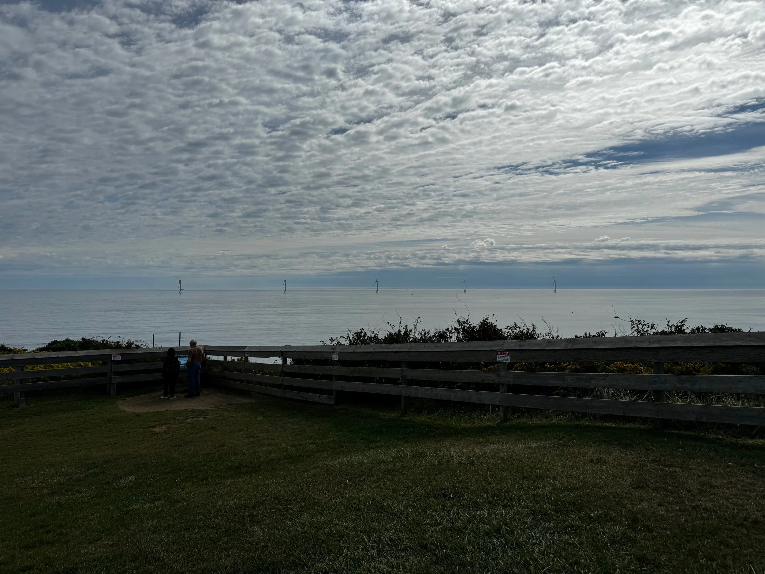 Library - 154 of 174.jpeg