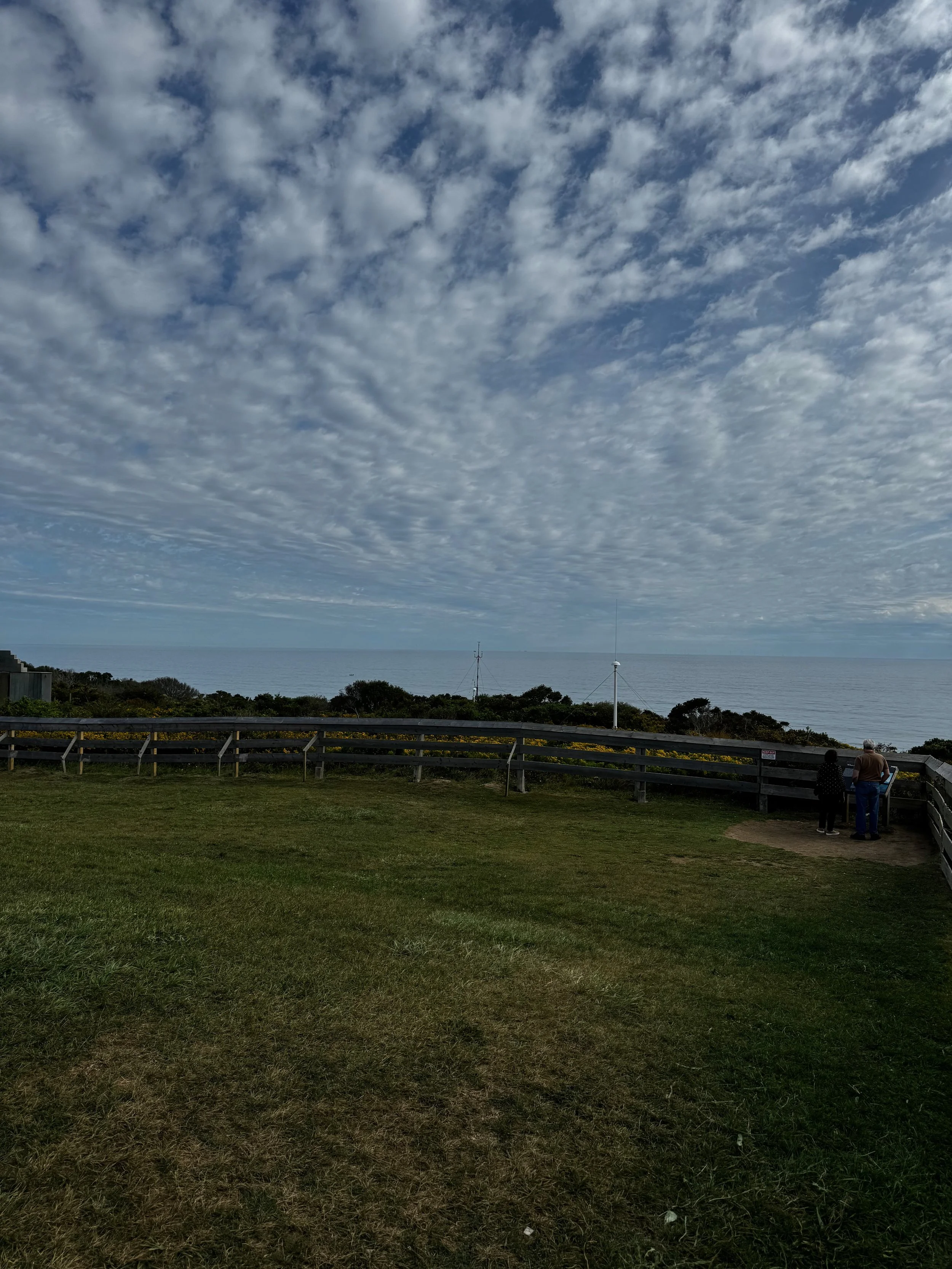 Library - 157 of 174.jpeg