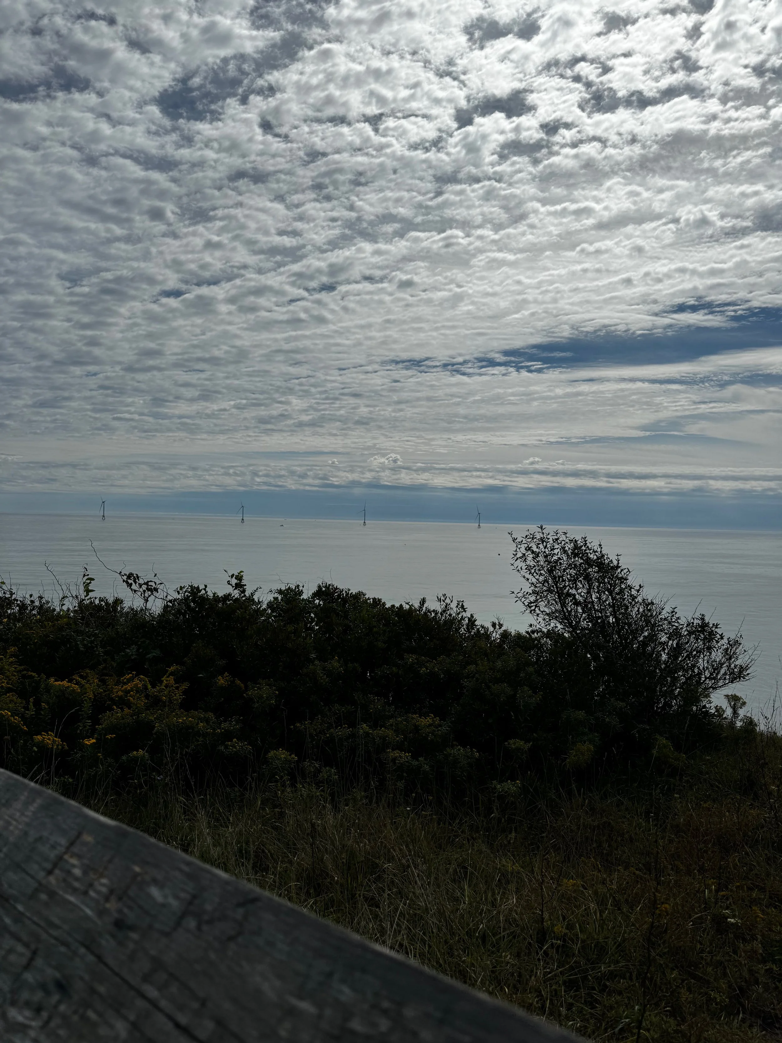 Library - 159 of 174.jpeg