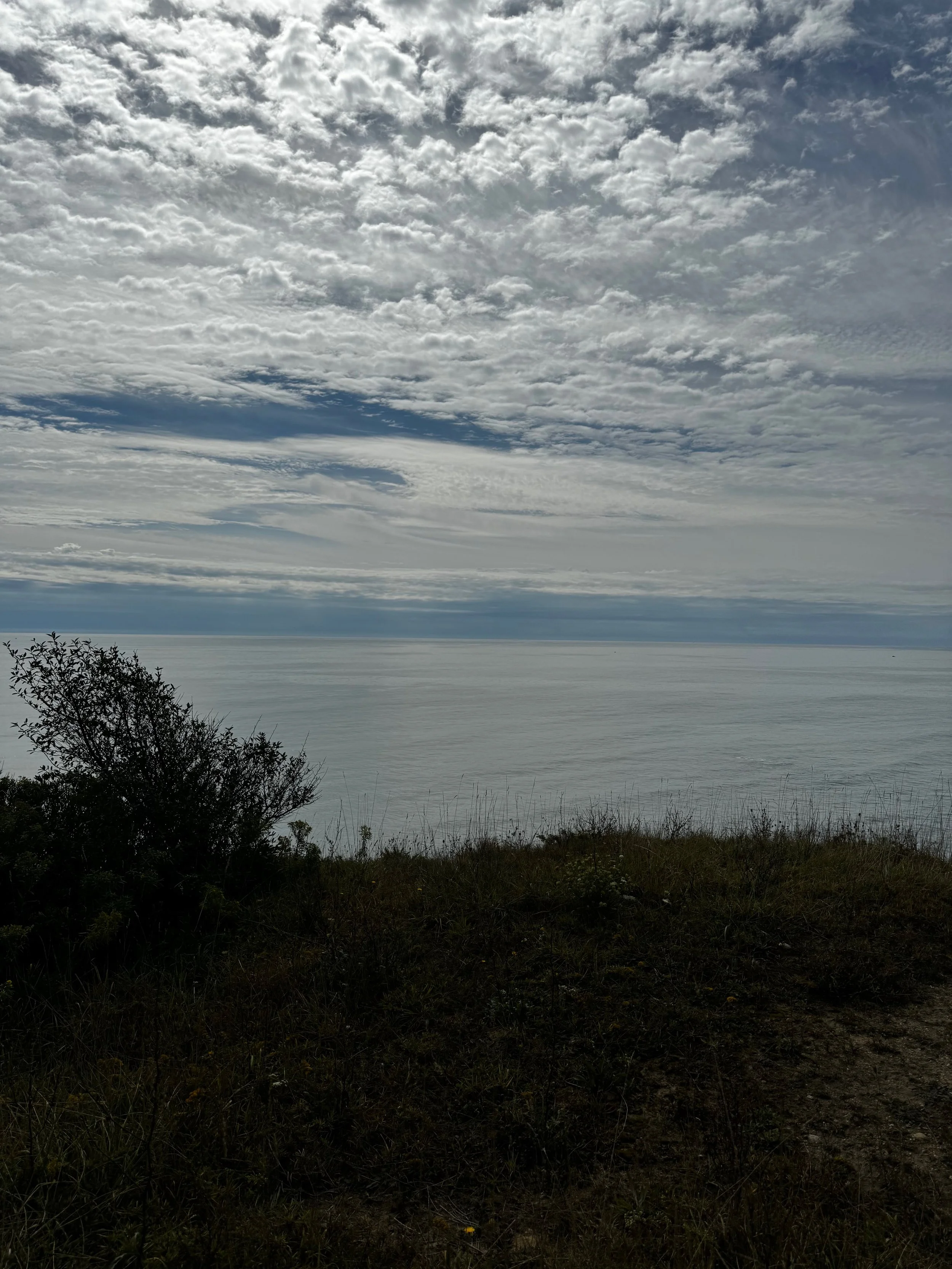 Library - 160 of 174.jpeg