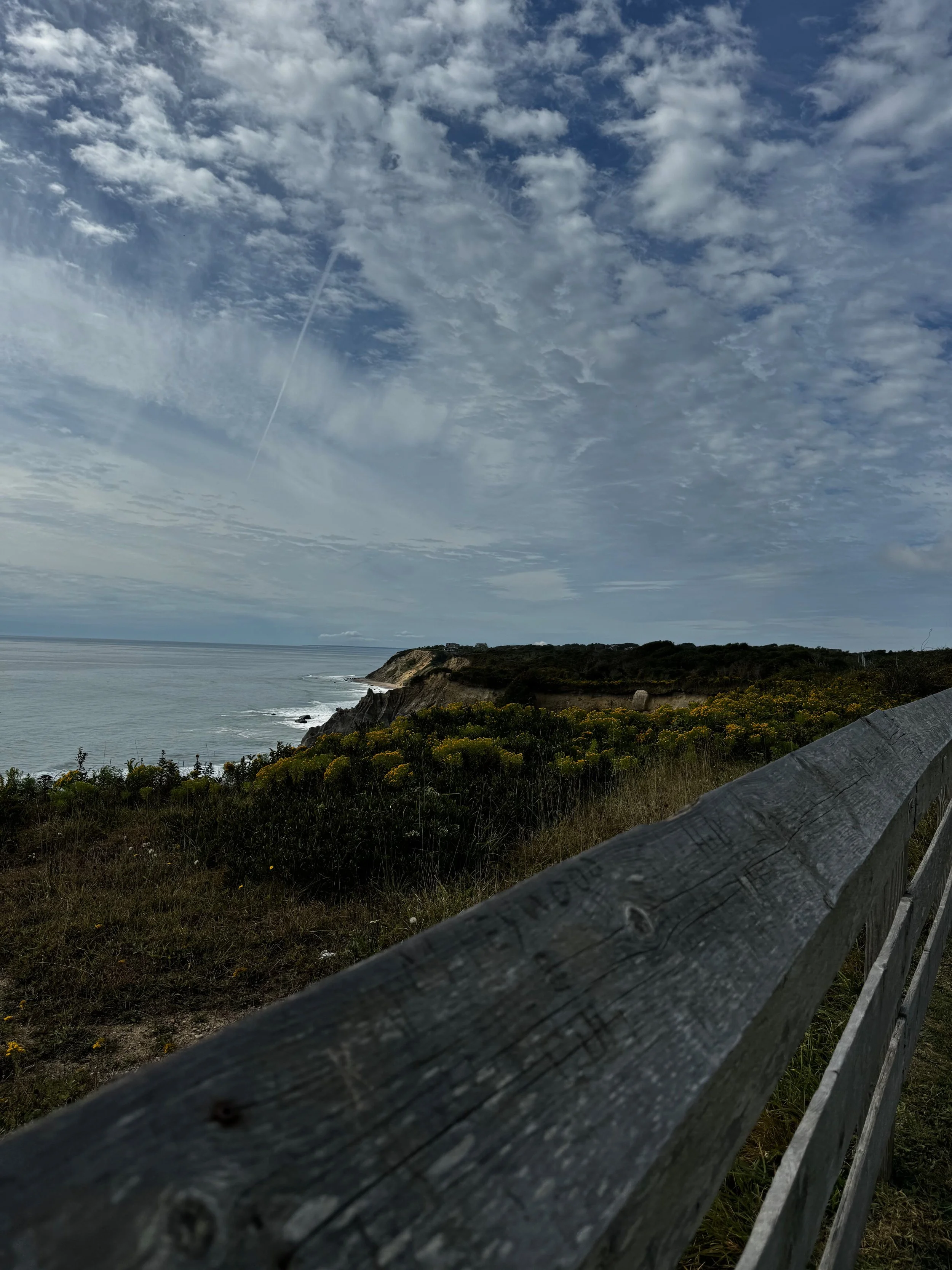 Library - 162 of 174.jpeg