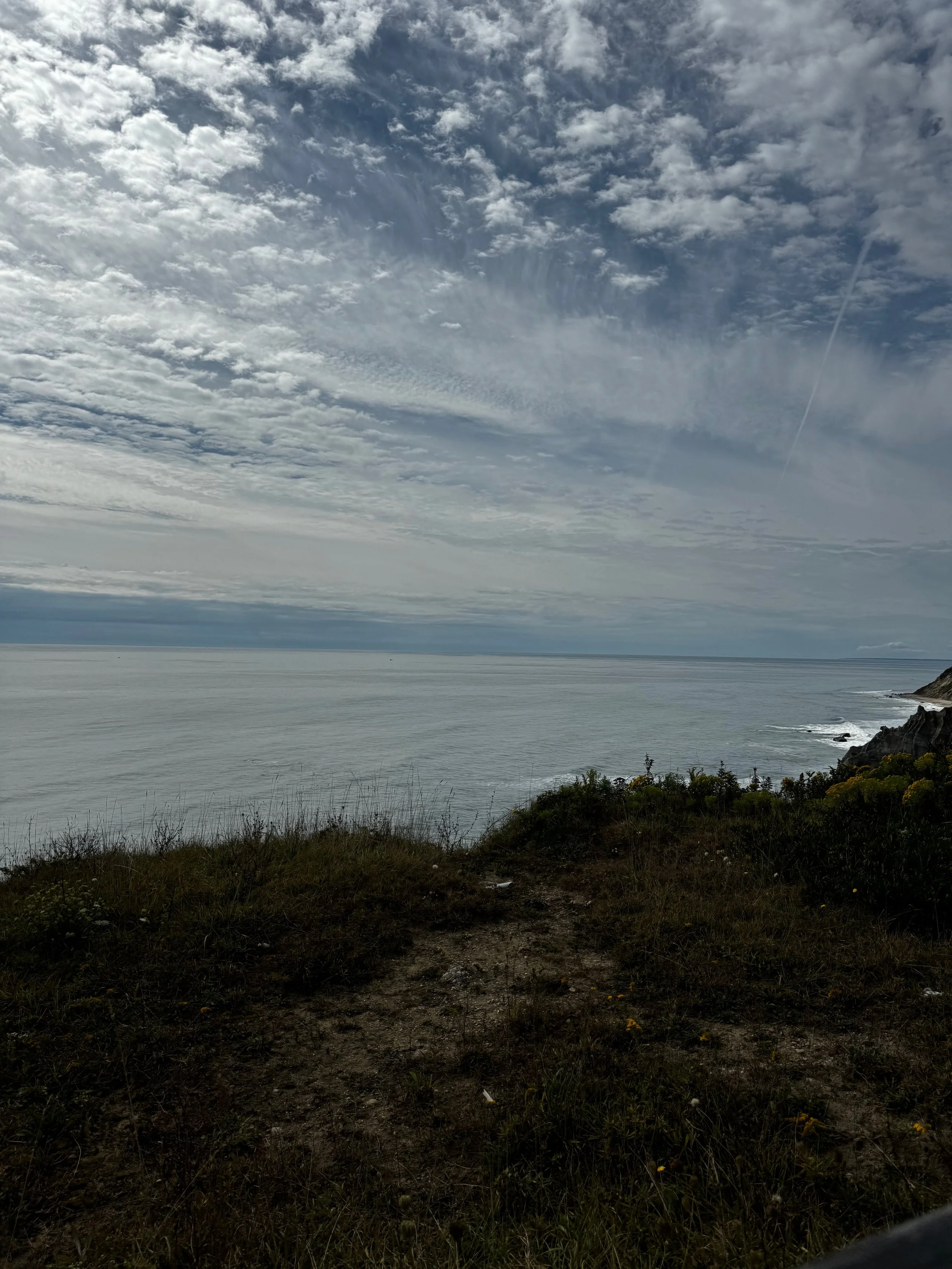 Library - 161 of 174.jpeg