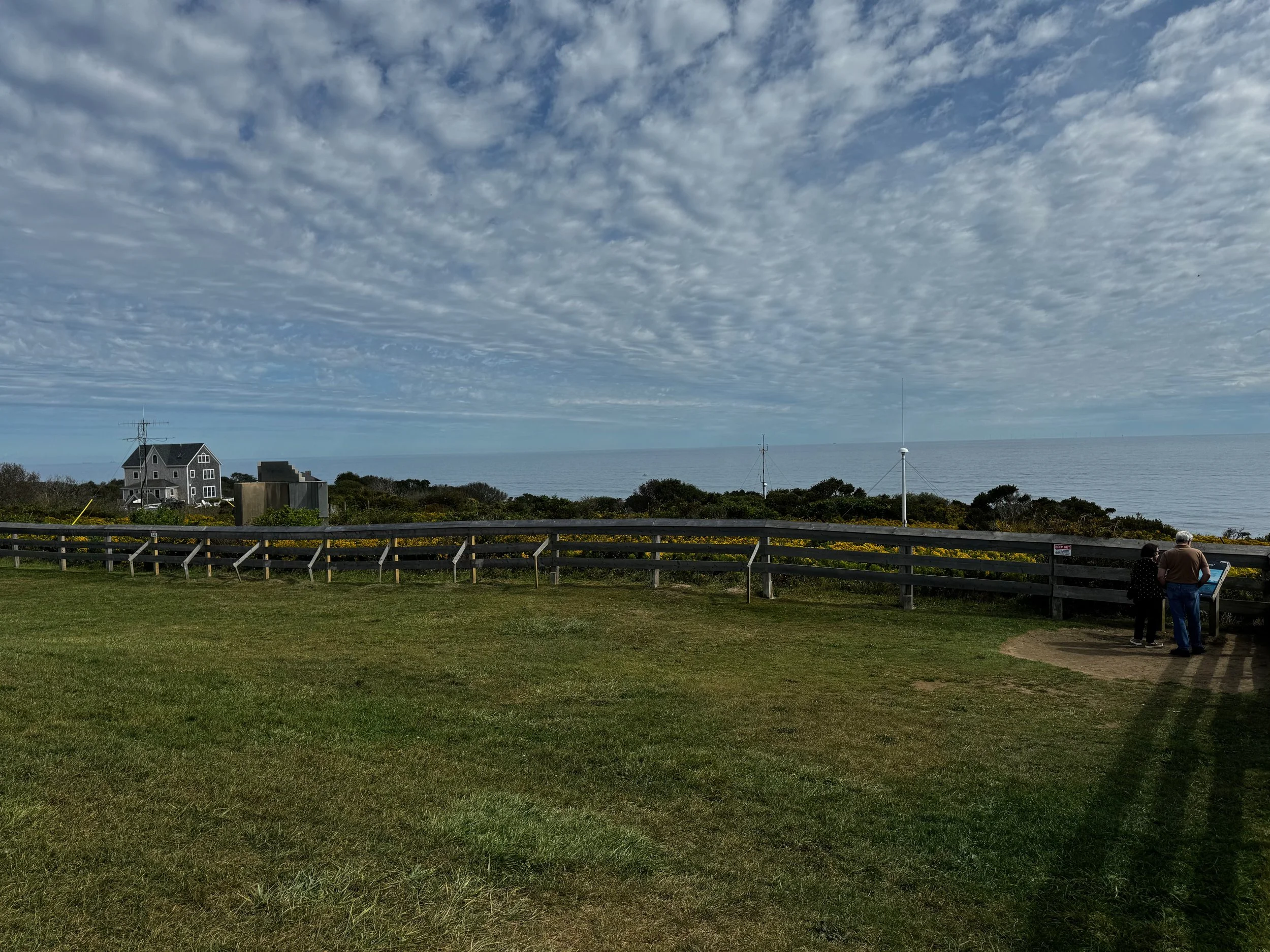 Library - 166 of 174.jpeg