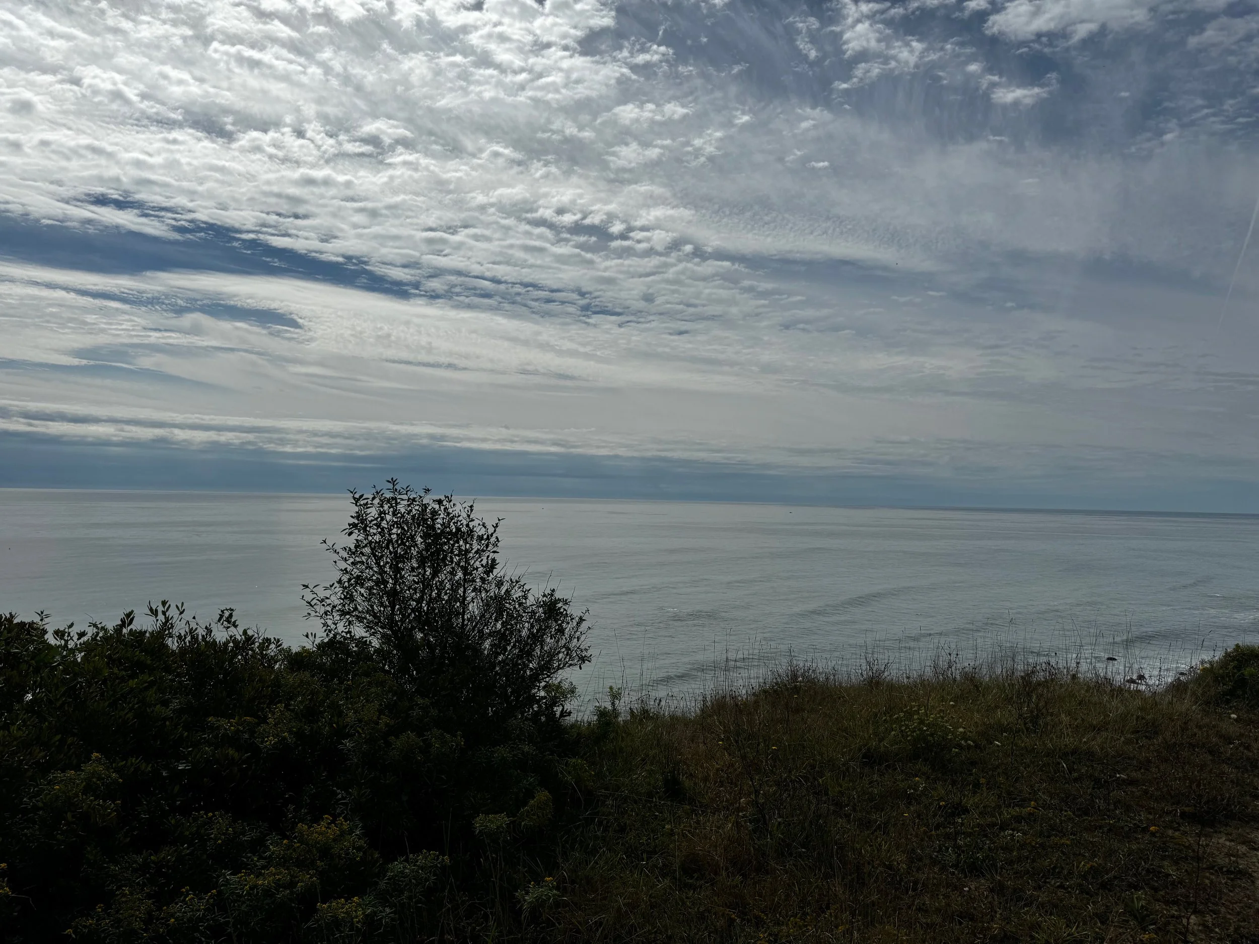 Library - 168 of 174.jpeg