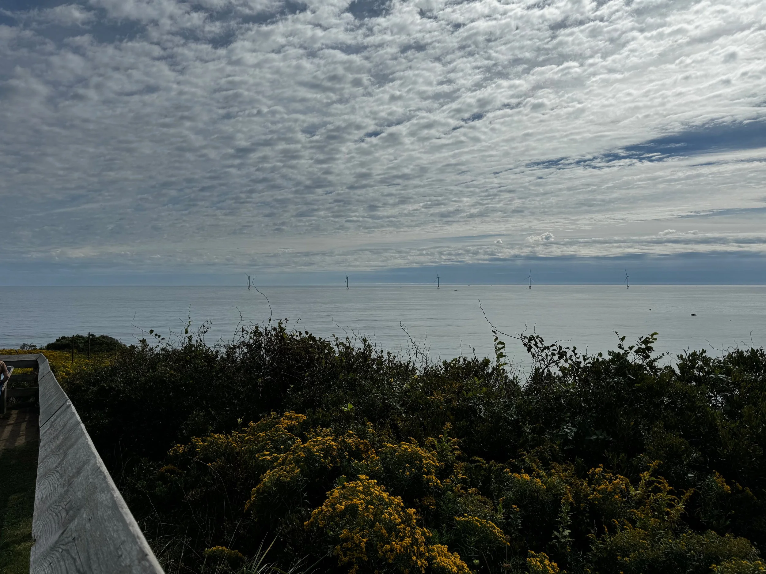 Library - 167 of 174.jpeg