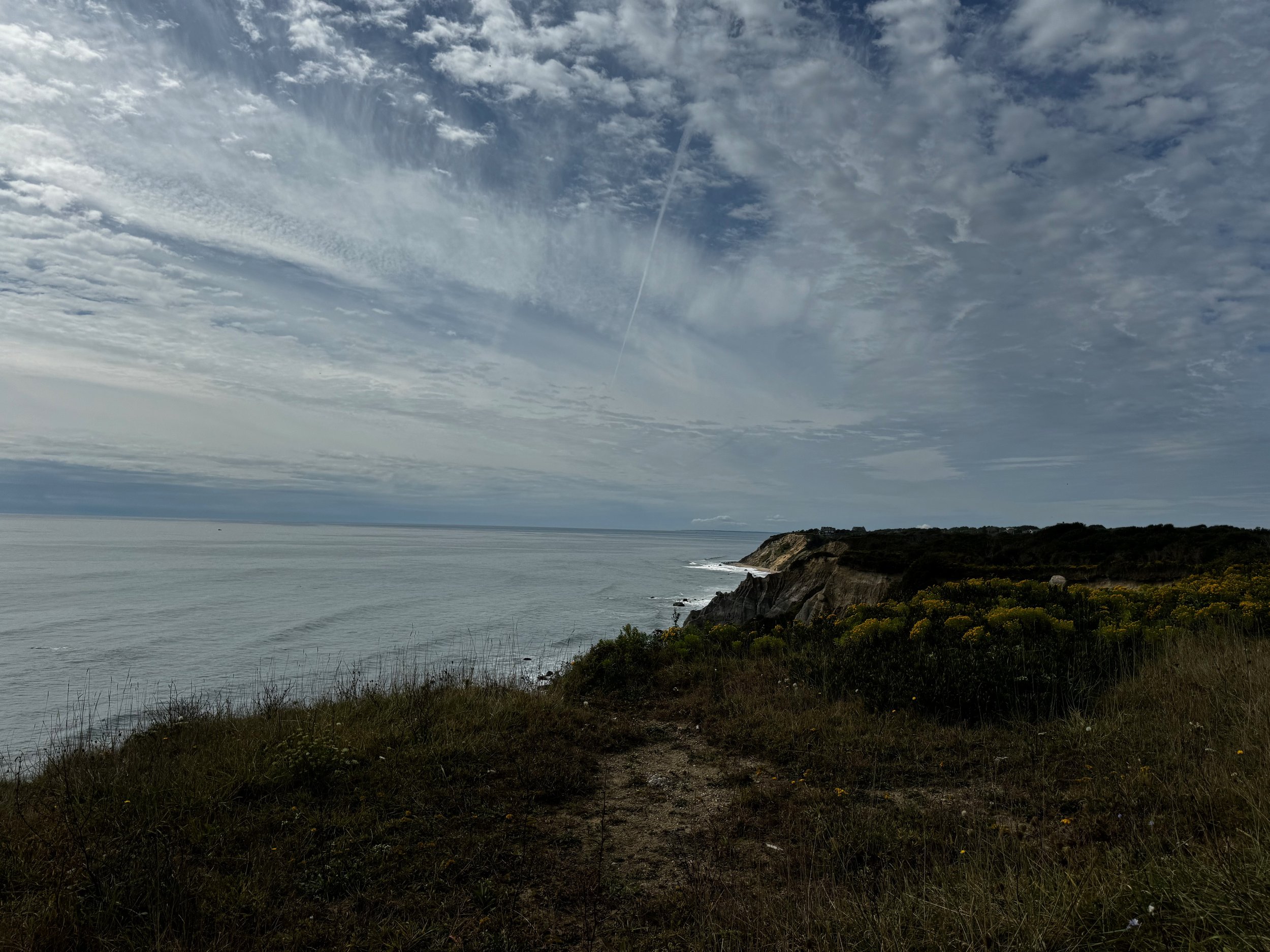 Library - 169 of 174.jpeg