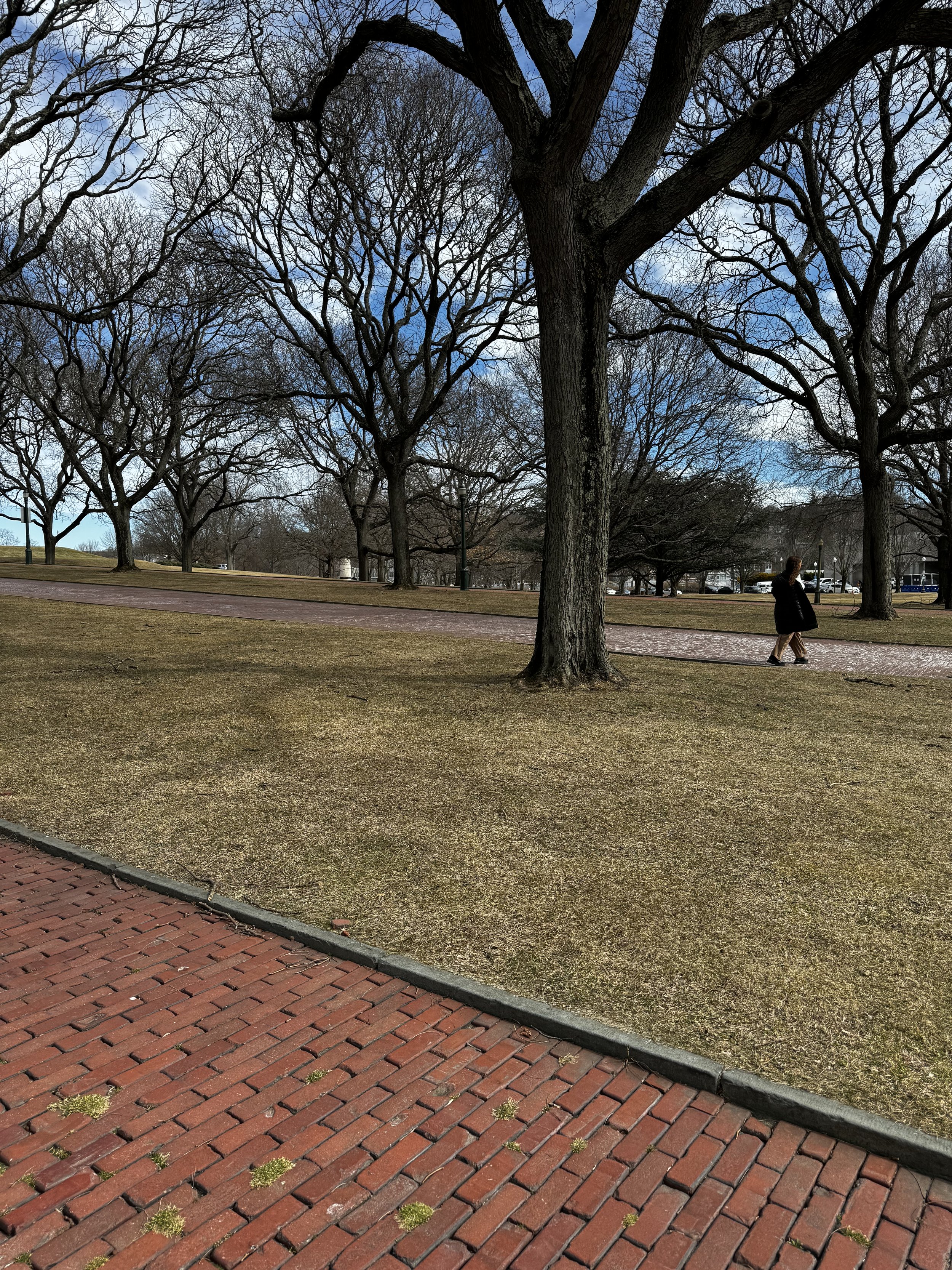 IMG_9269.jpeg