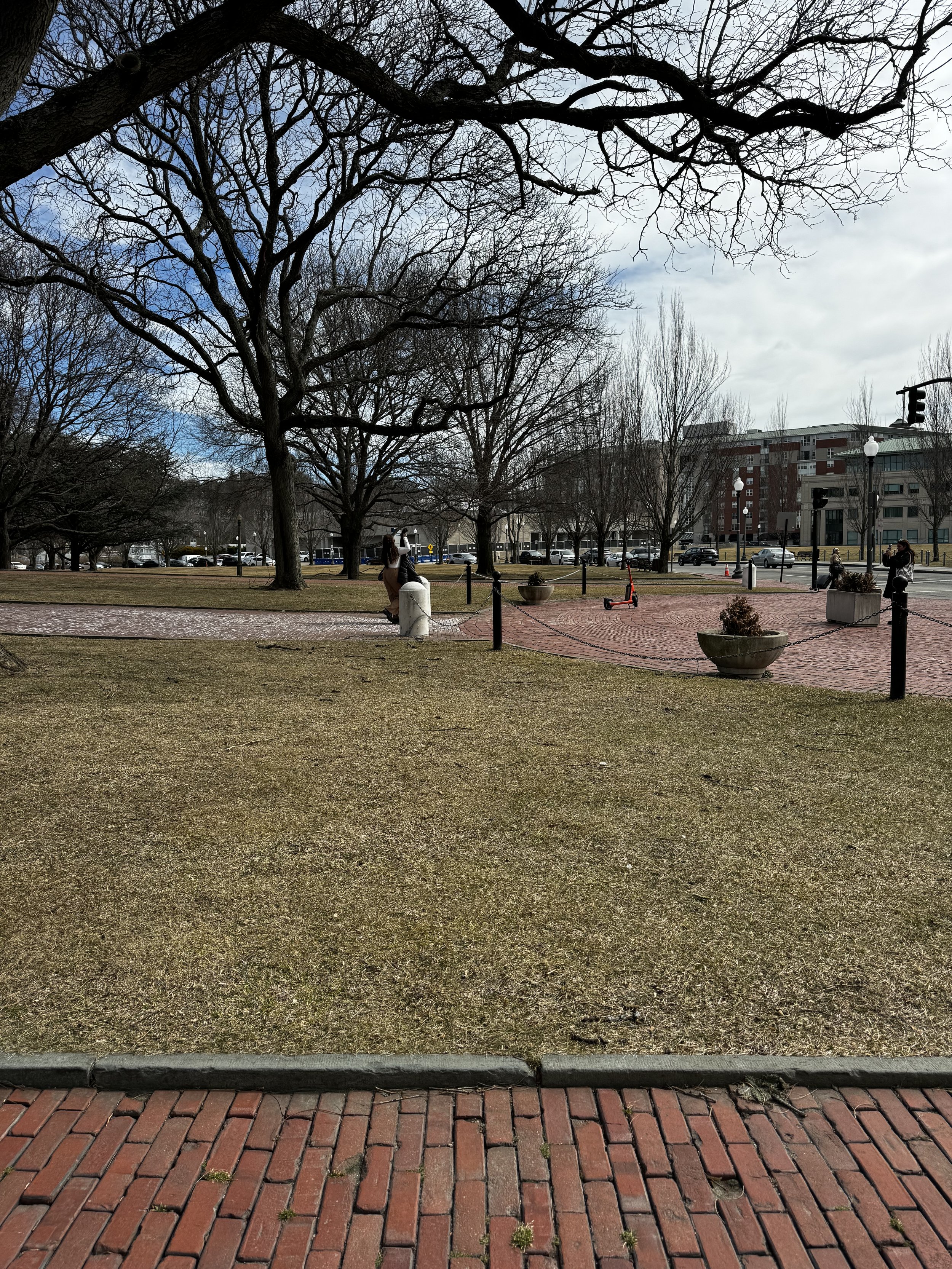 IMG_9270.jpeg