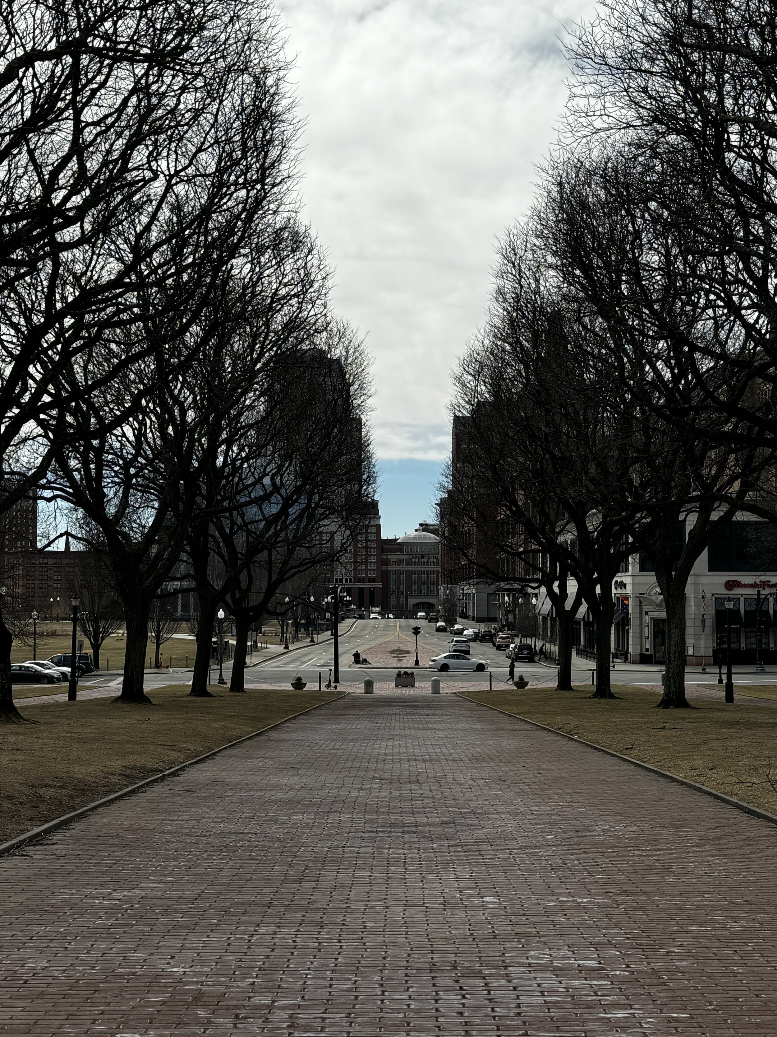 IMG_9305.jpeg