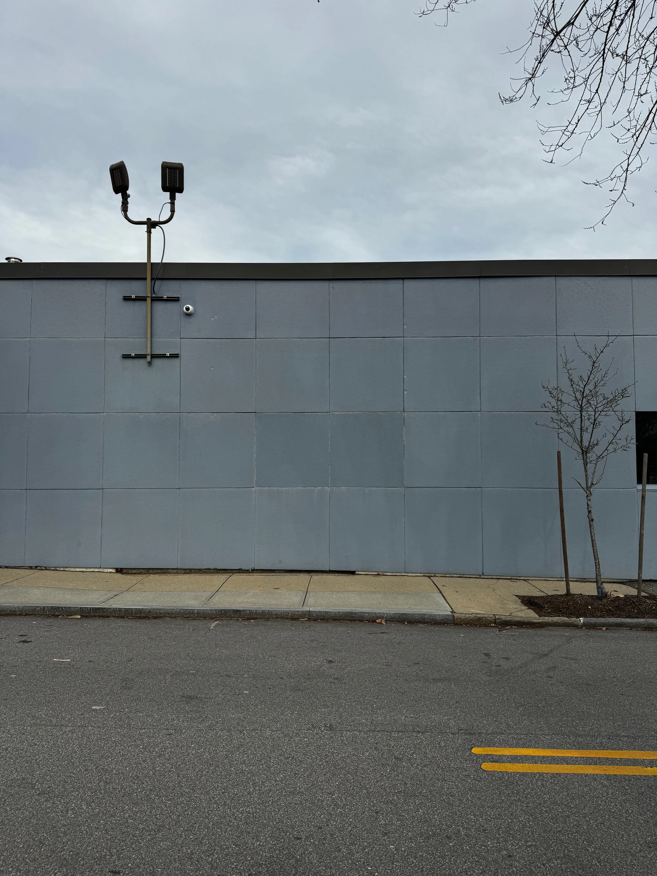 Library - 2 of 12.jpeg