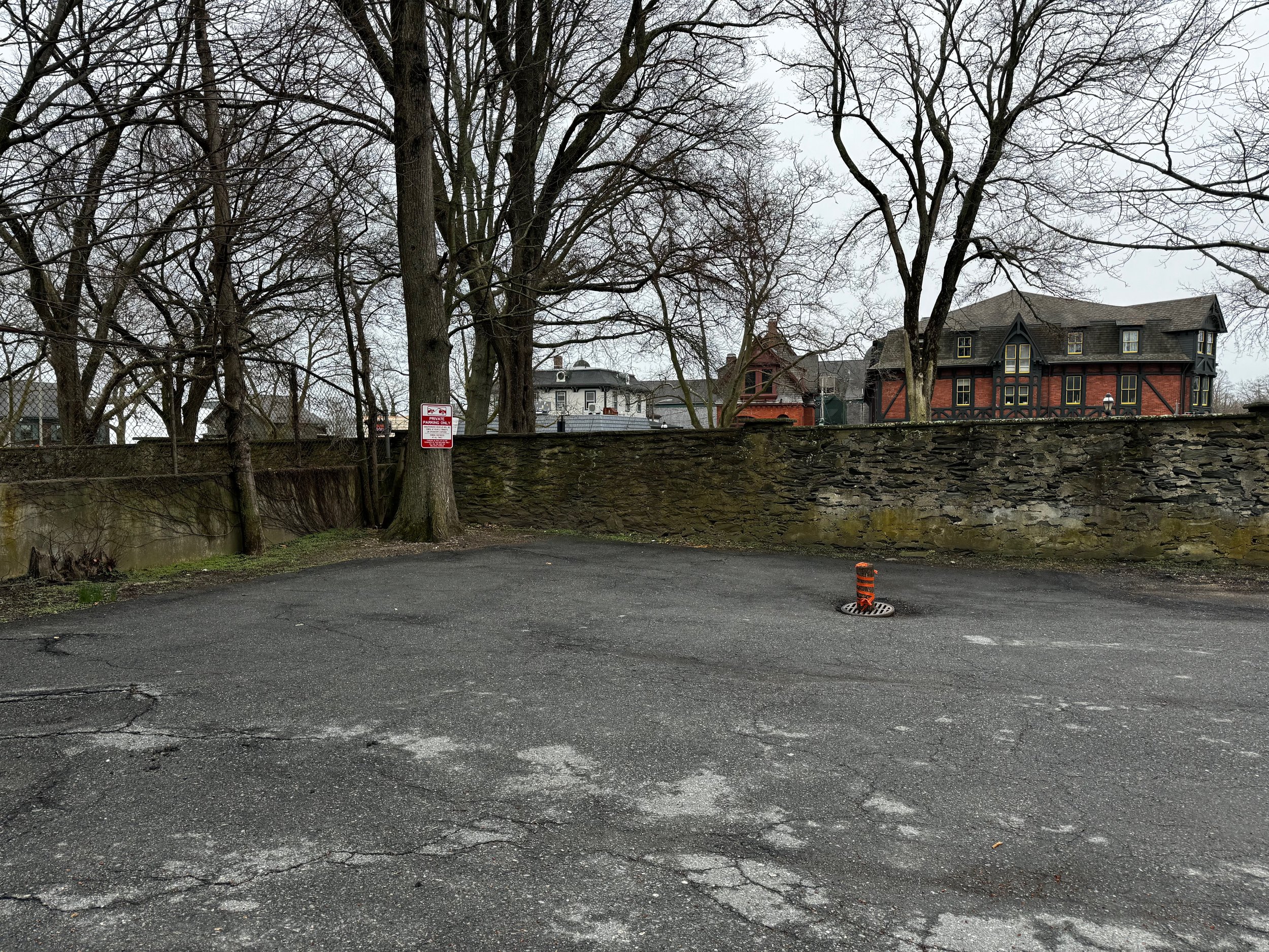 Library - 13 of 16.jpeg