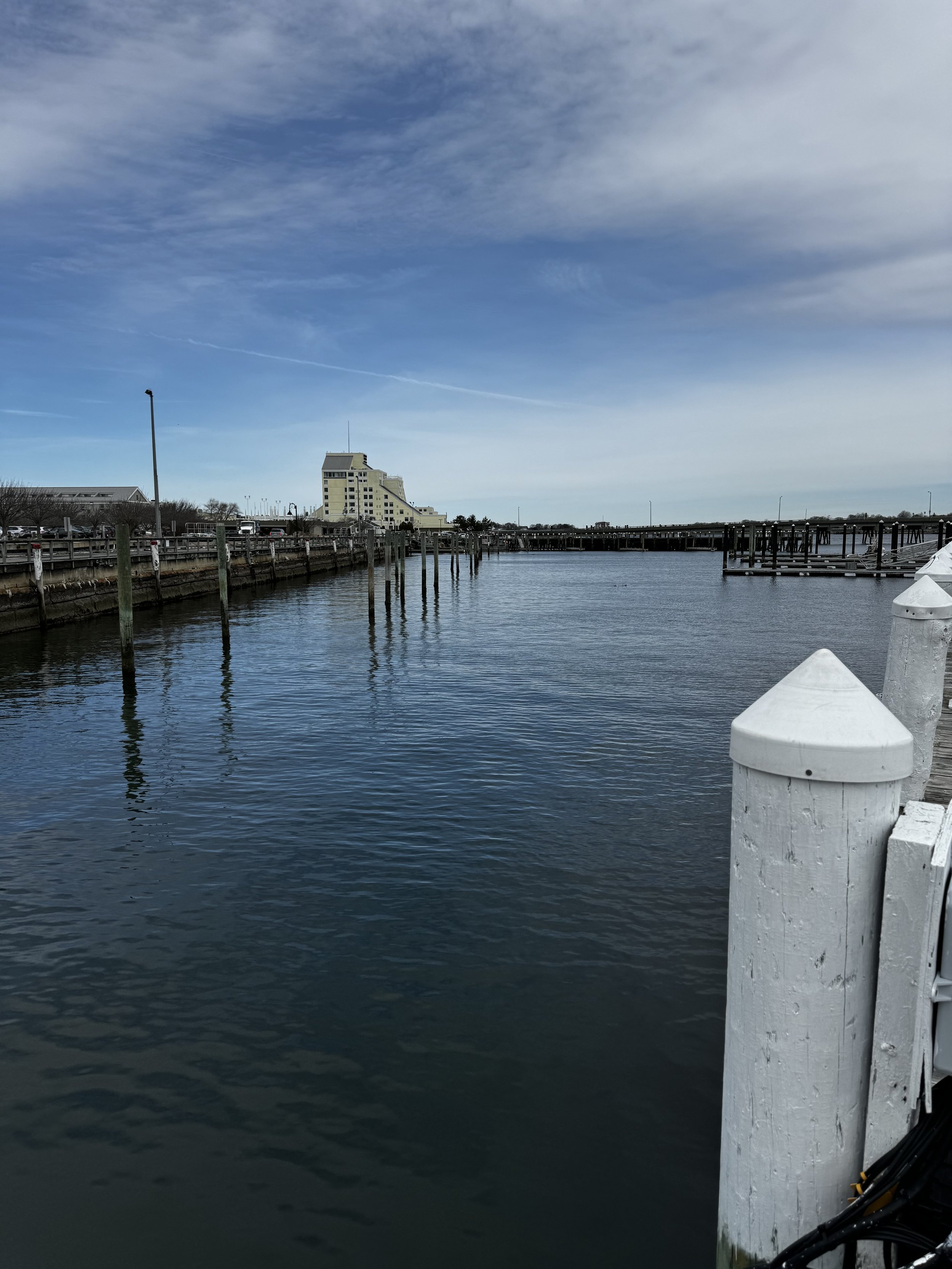 IMG_0102.jpeg