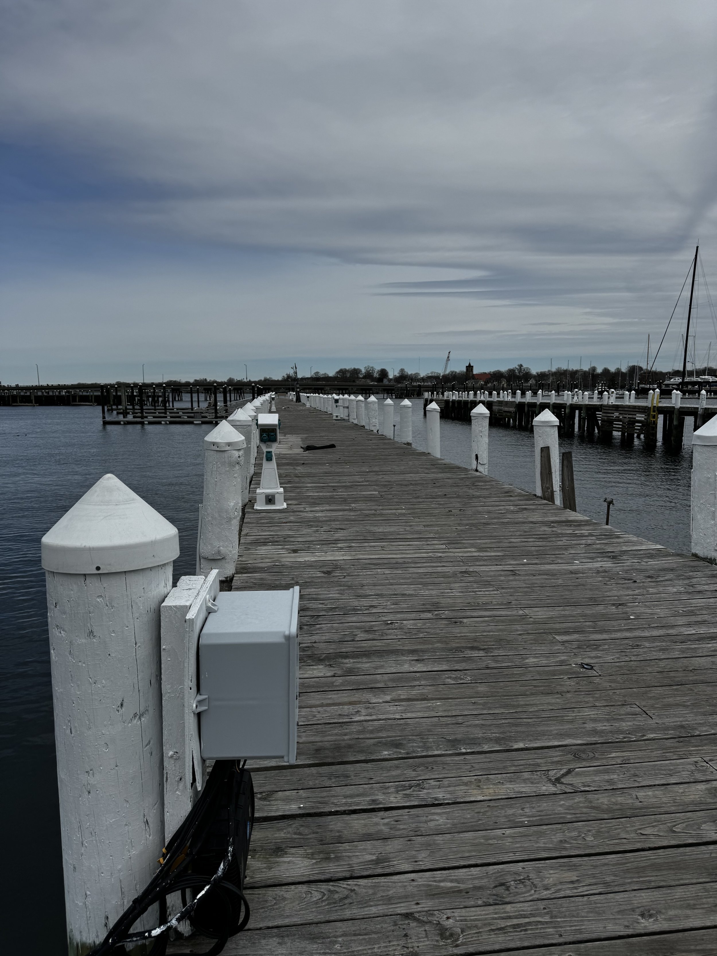 IMG_0103.jpeg