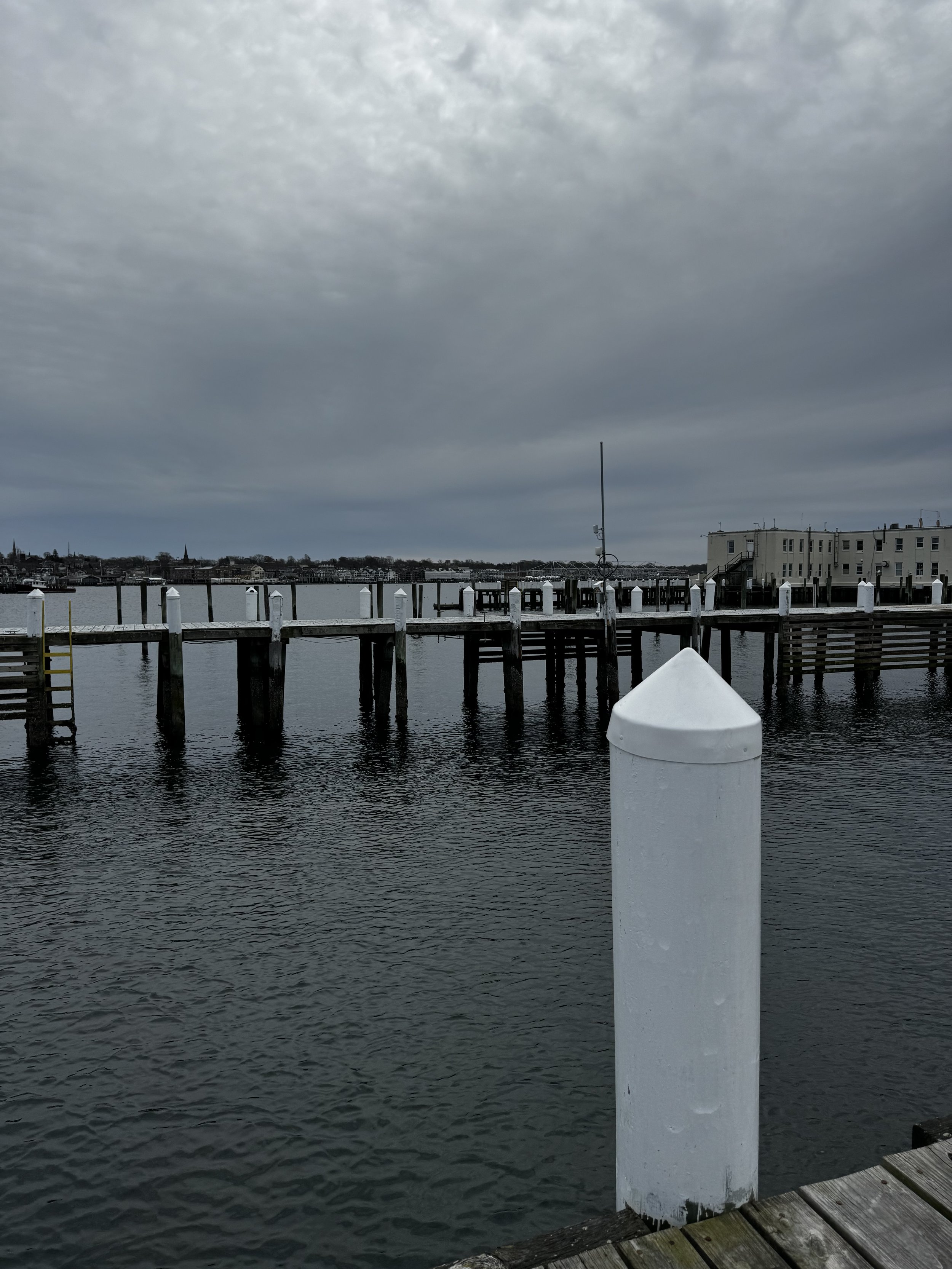 IMG_0110.jpeg