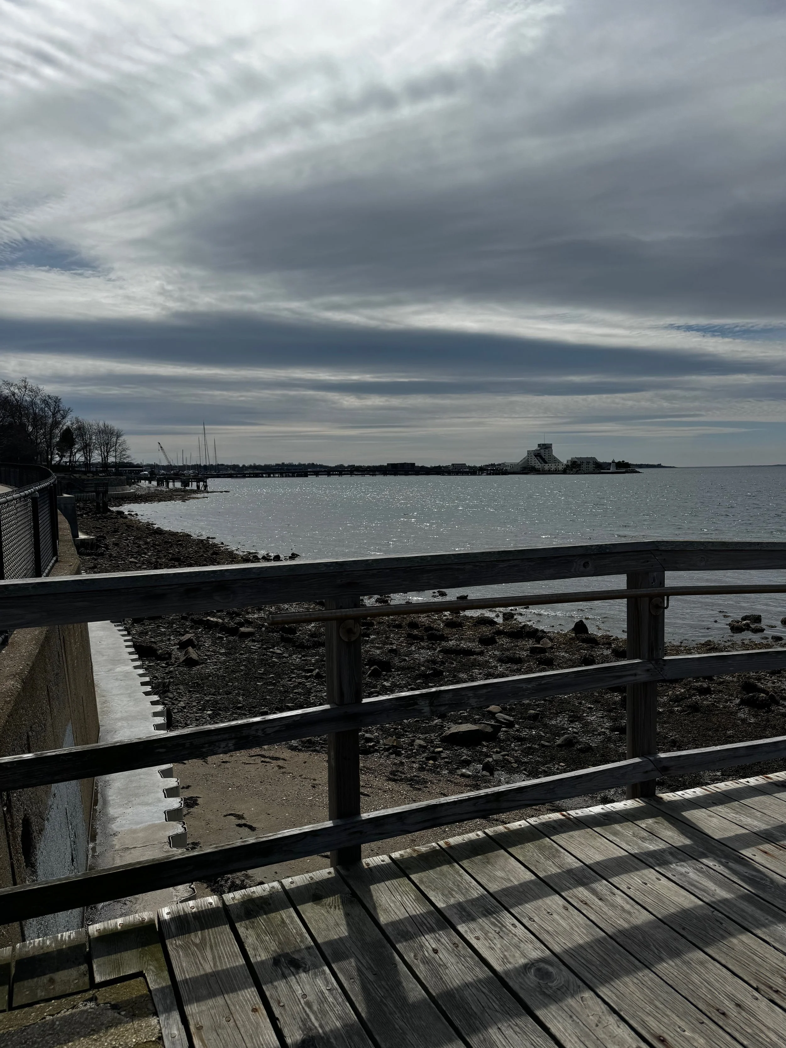 Library - 8 of 11.jpeg