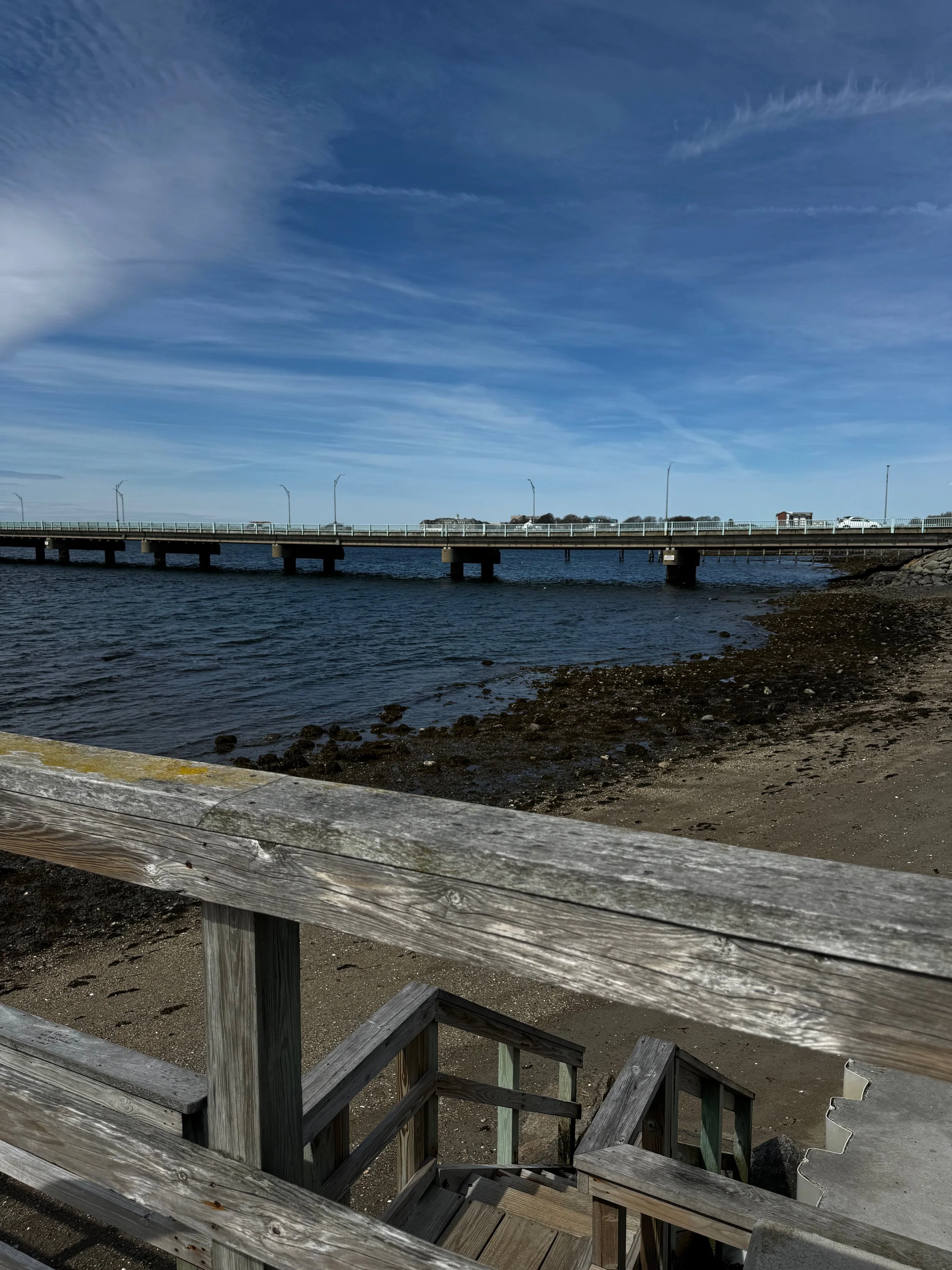 Library - 11 of 11.jpeg