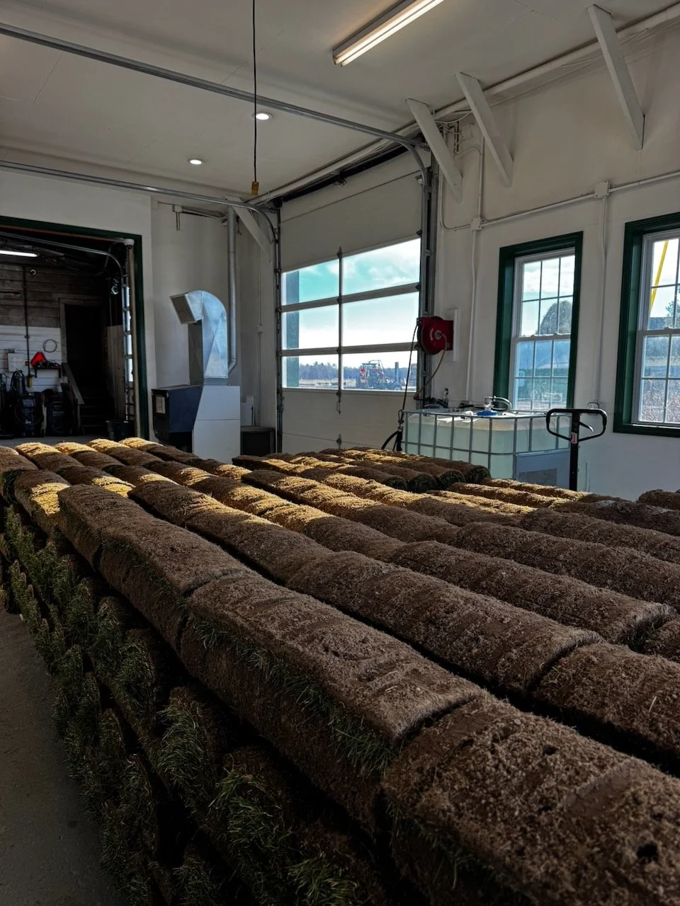 Library - 2 of 84.jpeg