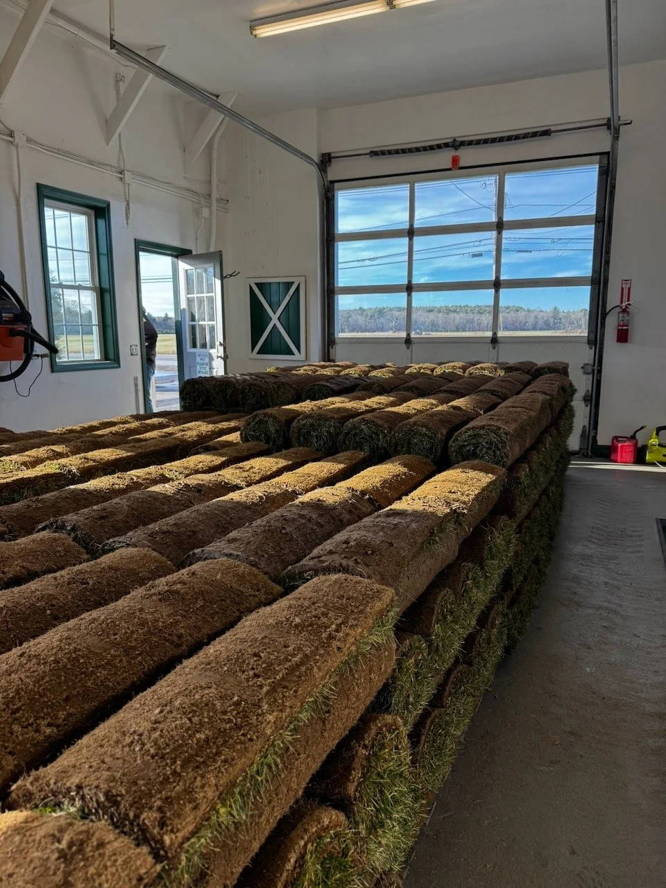 Library - 3 of 84.jpeg