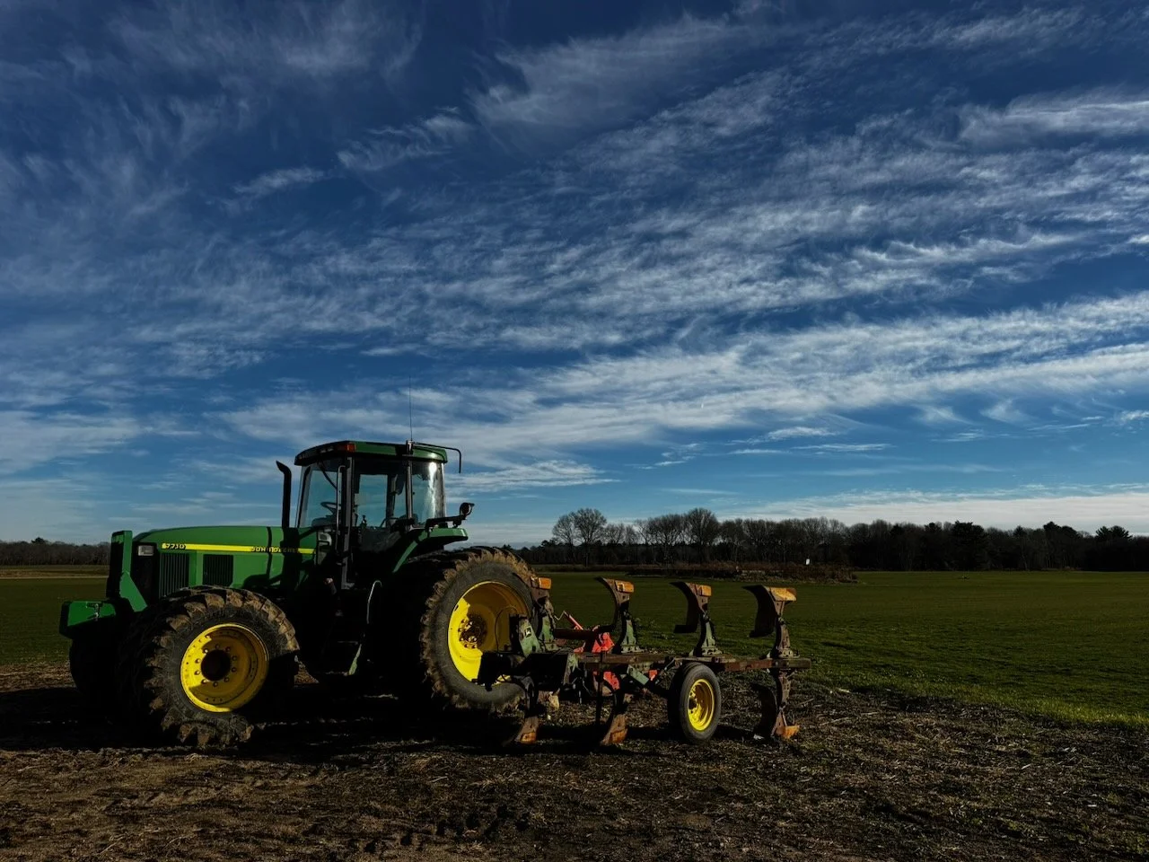 Library - 13 of 84.jpeg