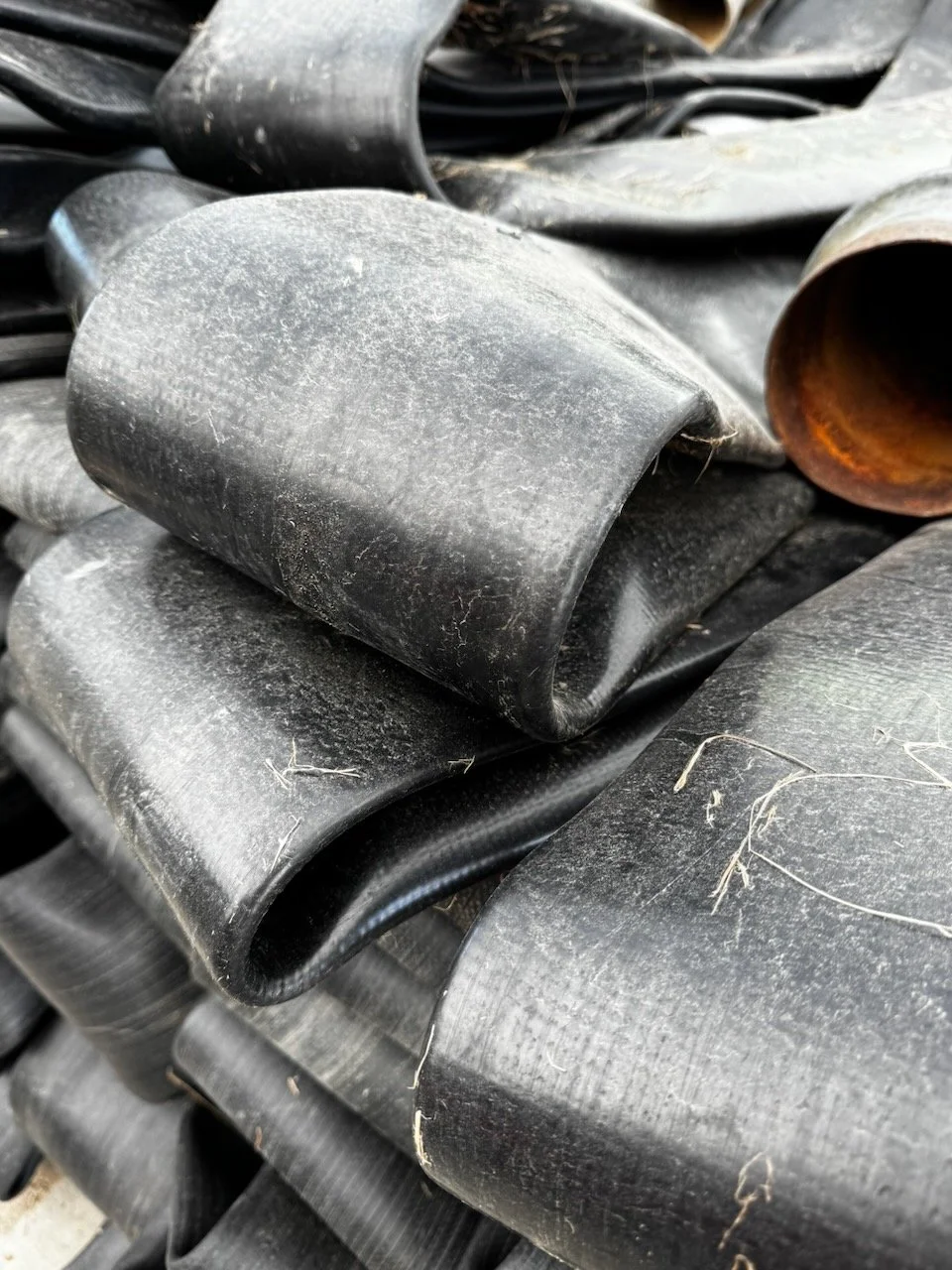 Library - 19 of 84.jpeg