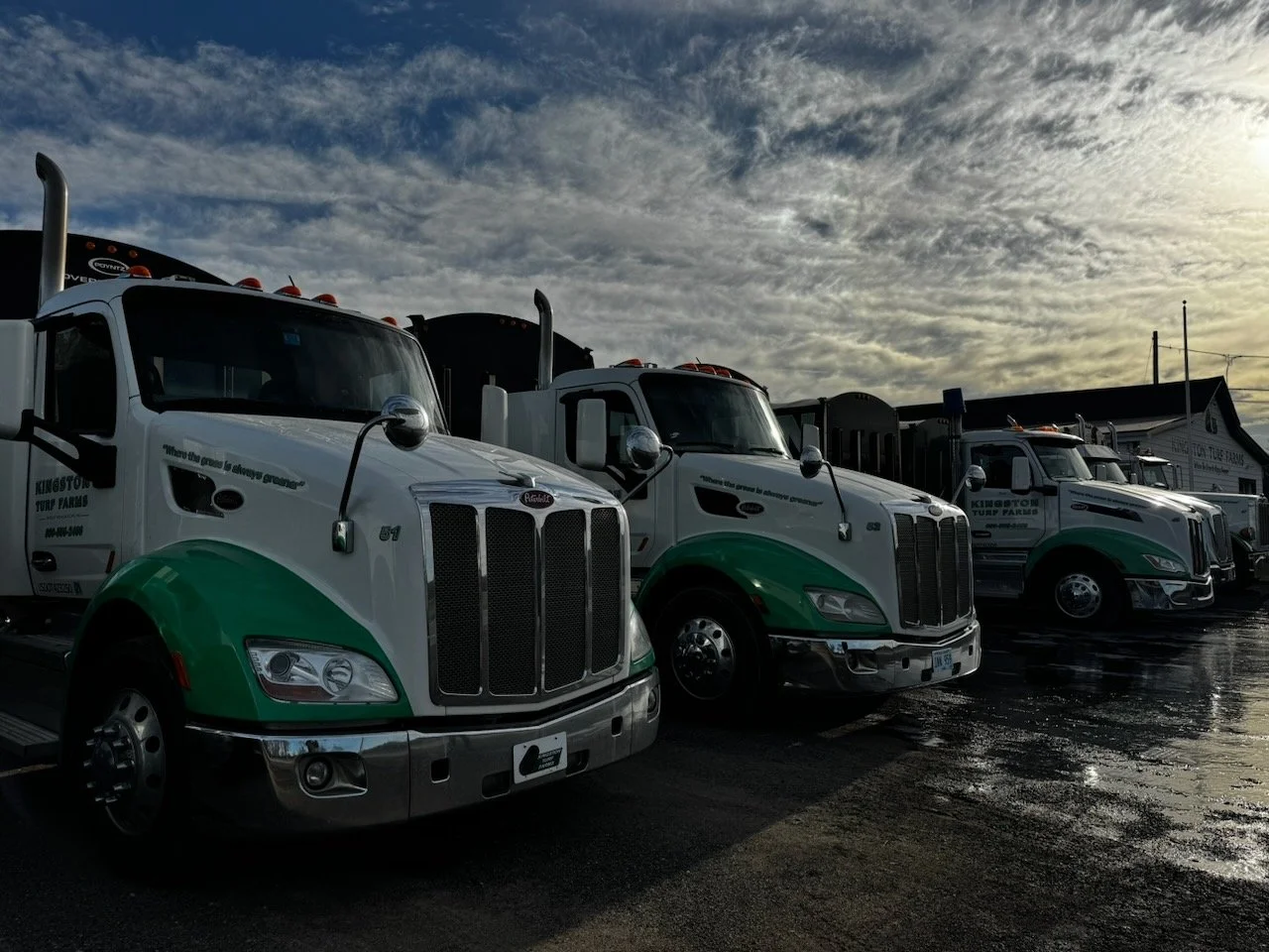 Library - 45 of 84.jpeg