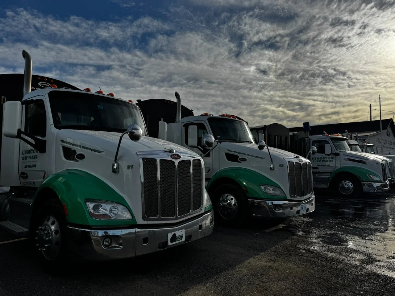 Library - 46 of 84.jpeg