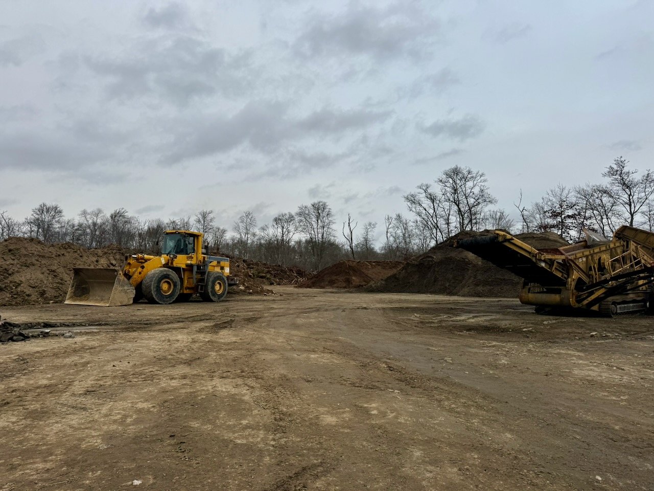 Library - 9 of 43.jpeg