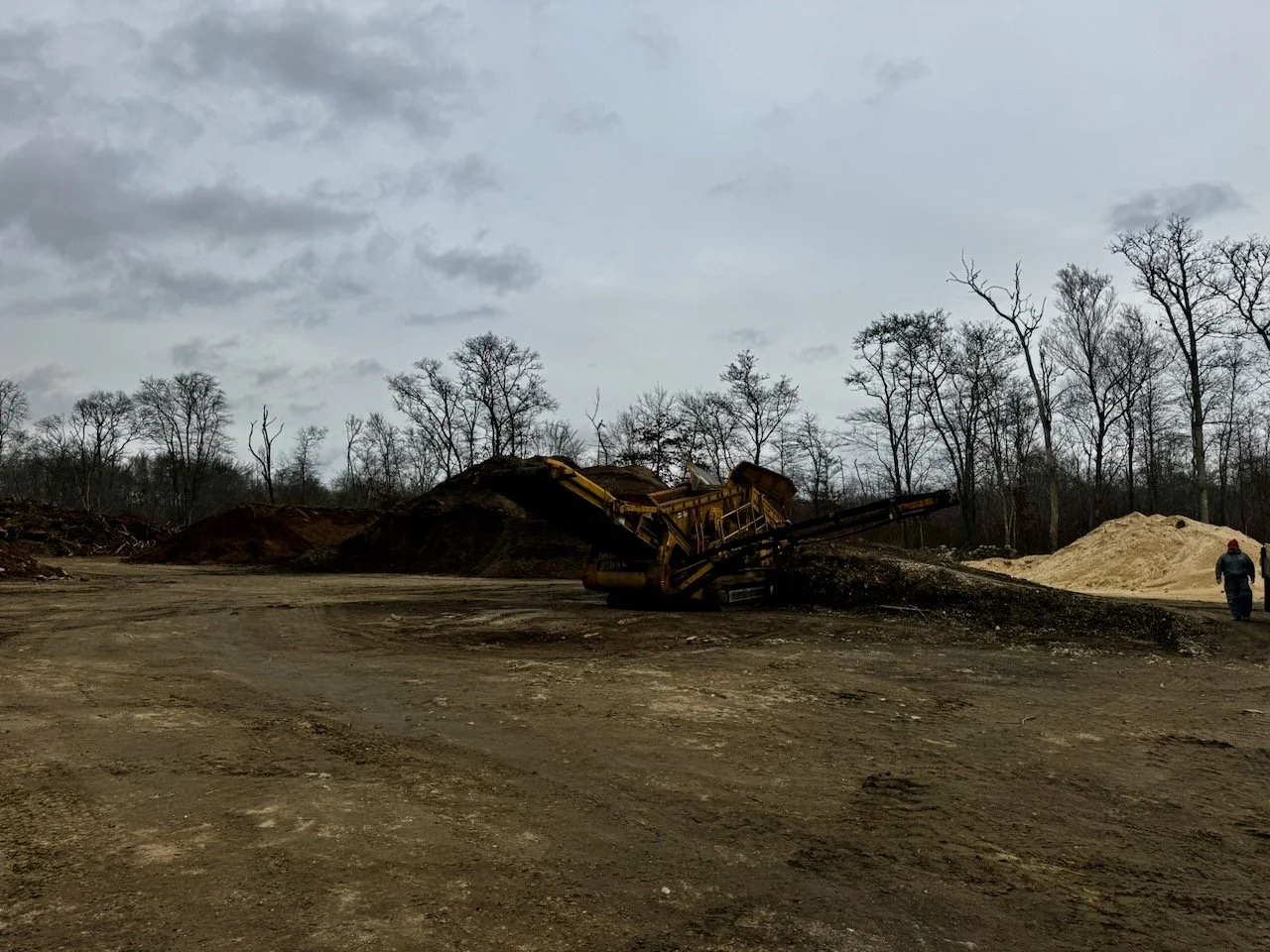 Library - 10 of 43.jpeg