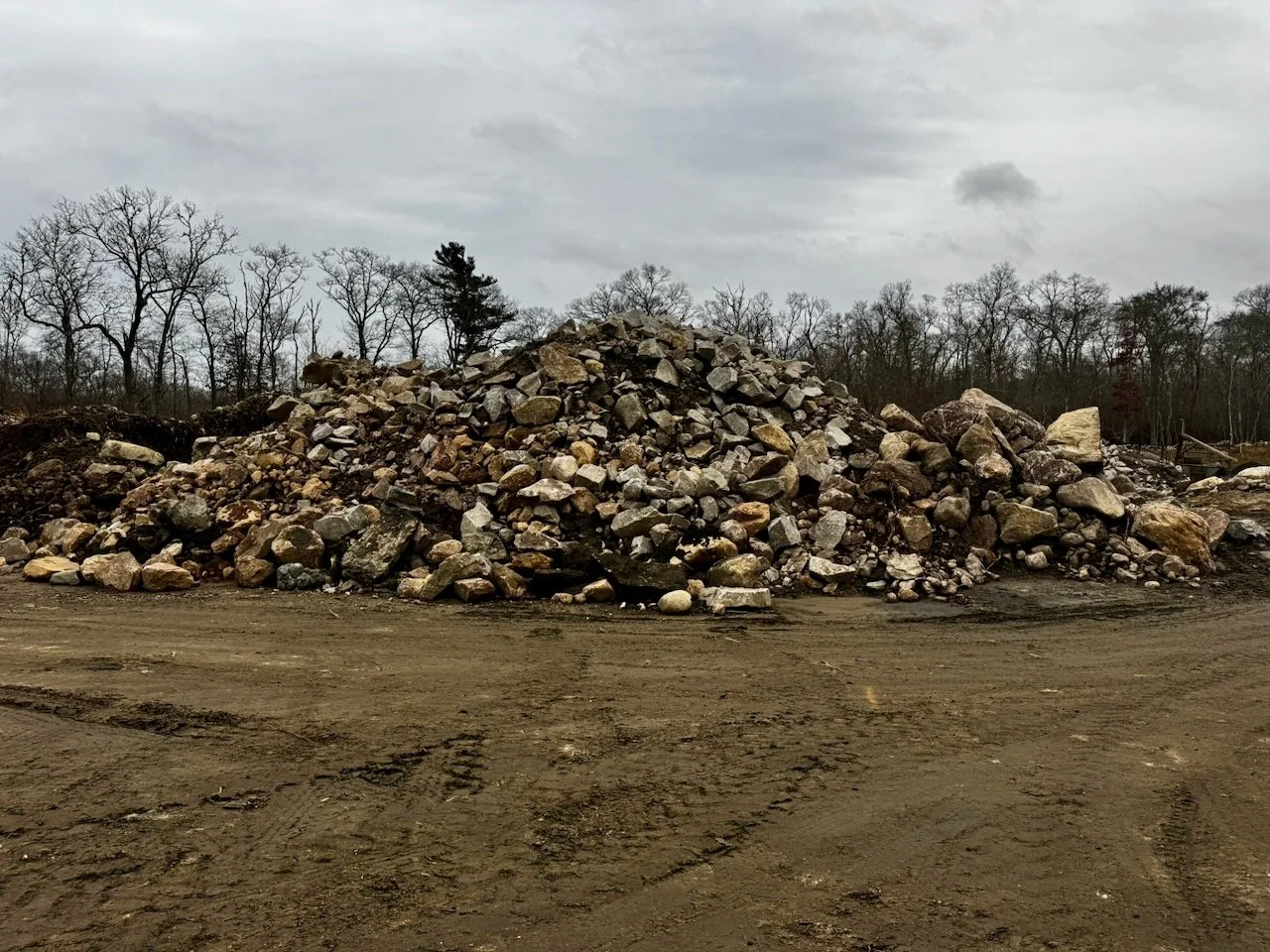 Library - 12 of 43.jpeg