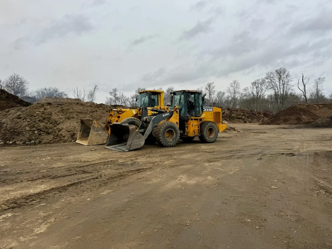 Library - 13 of 43.jpeg