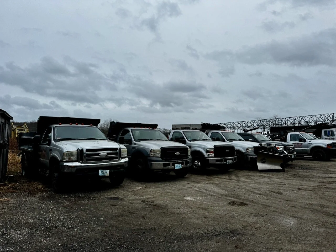 Library - 15 of 43.jpeg